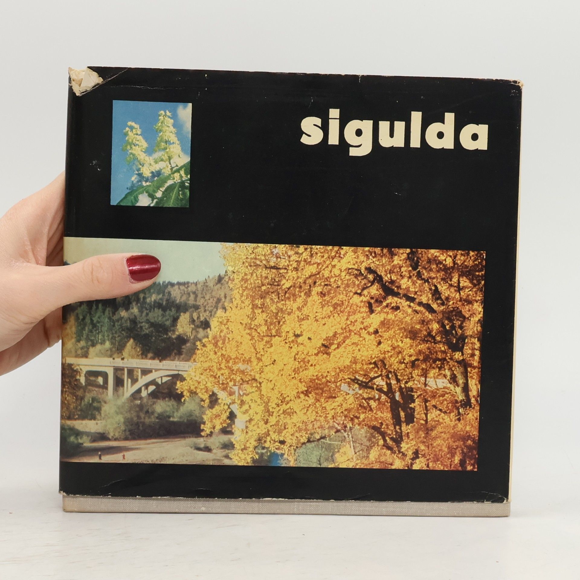 Voldemārs Upītis Sigulda