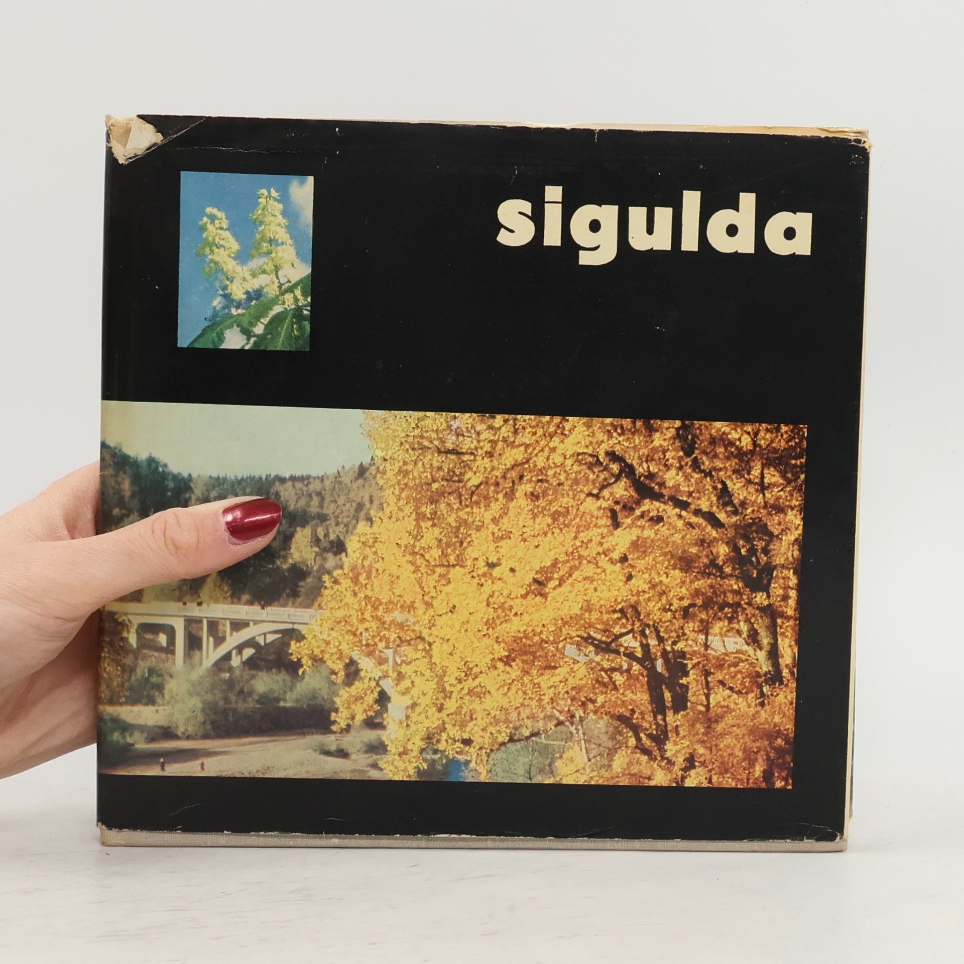 Voldemārs Upītis Sigulda