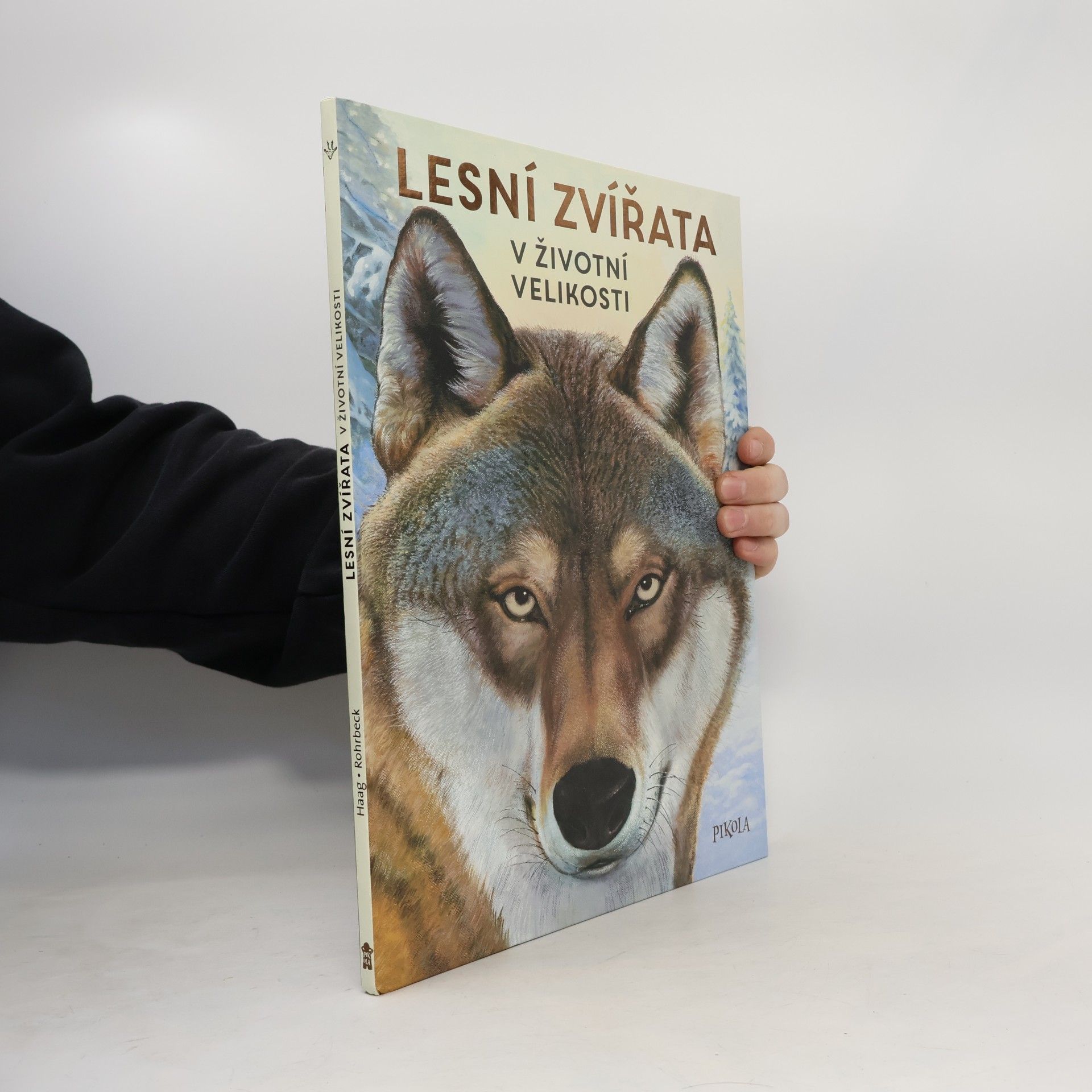 Lesní zvířata v životní velikosti