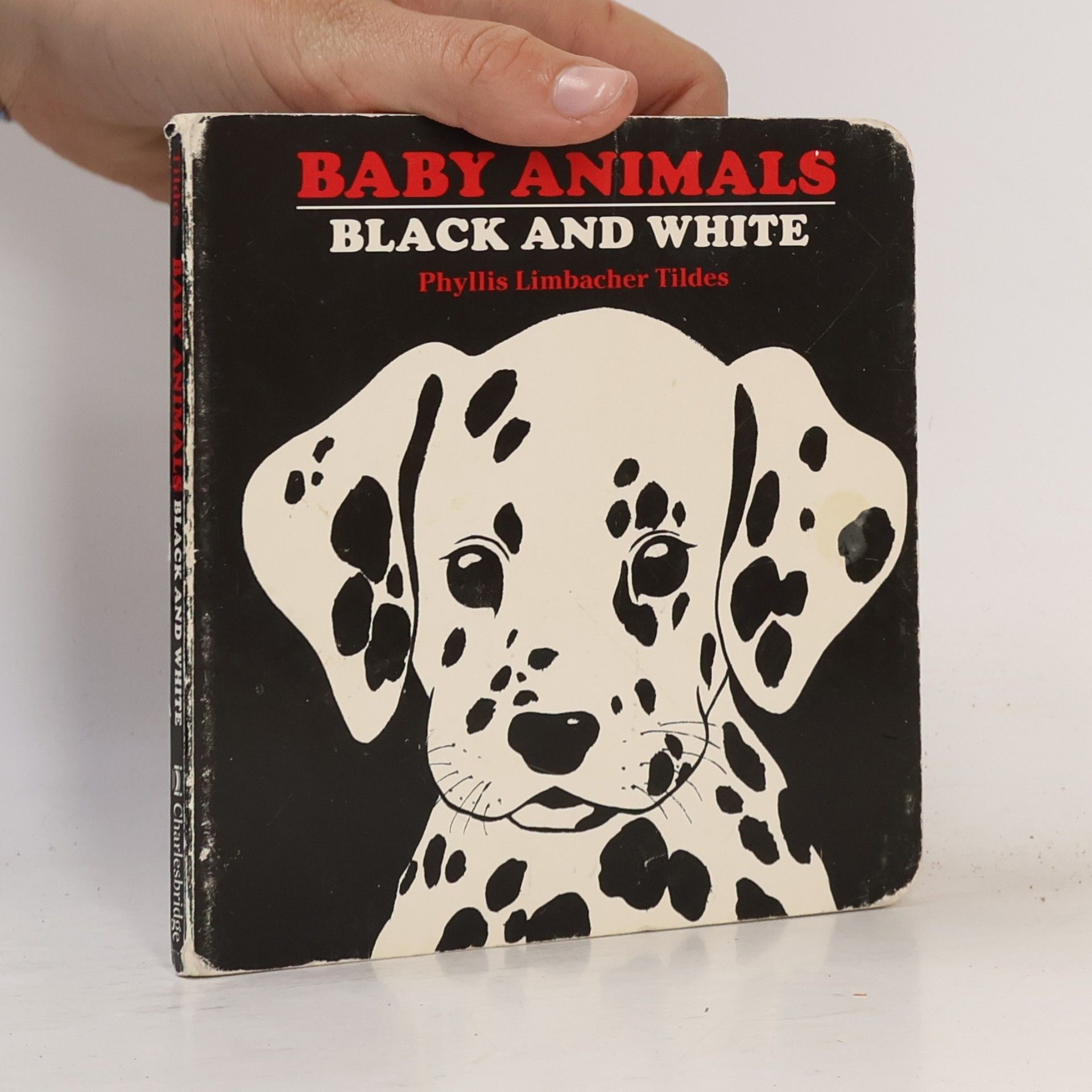 Phyllis Limbacher Tildes Baby Animals Black and White