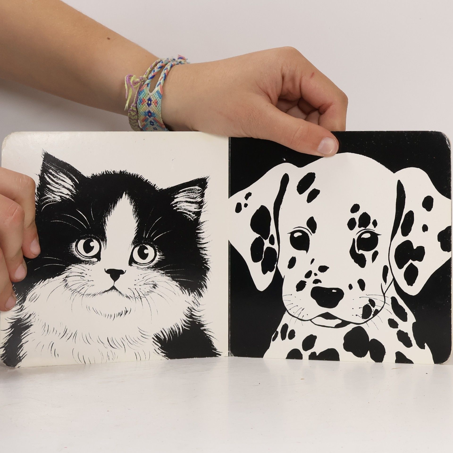 Phyllis Limbacher Tildes Baby Animals Black and White