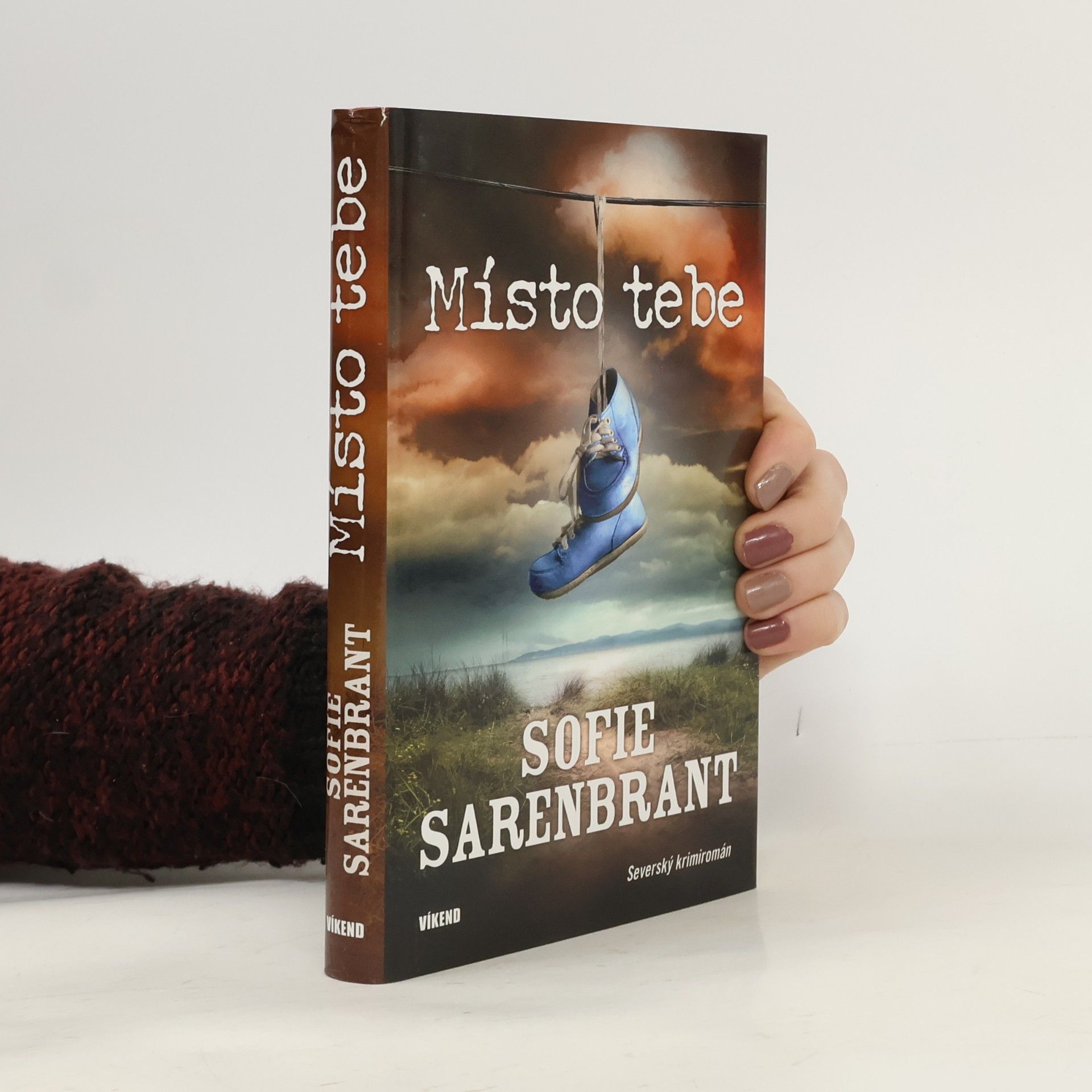 Sofie Sarenbrant Místo tebe