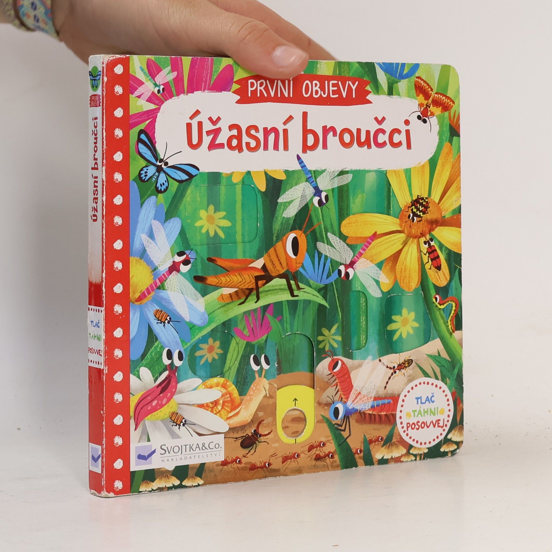 První objevy: Úžasní broučci