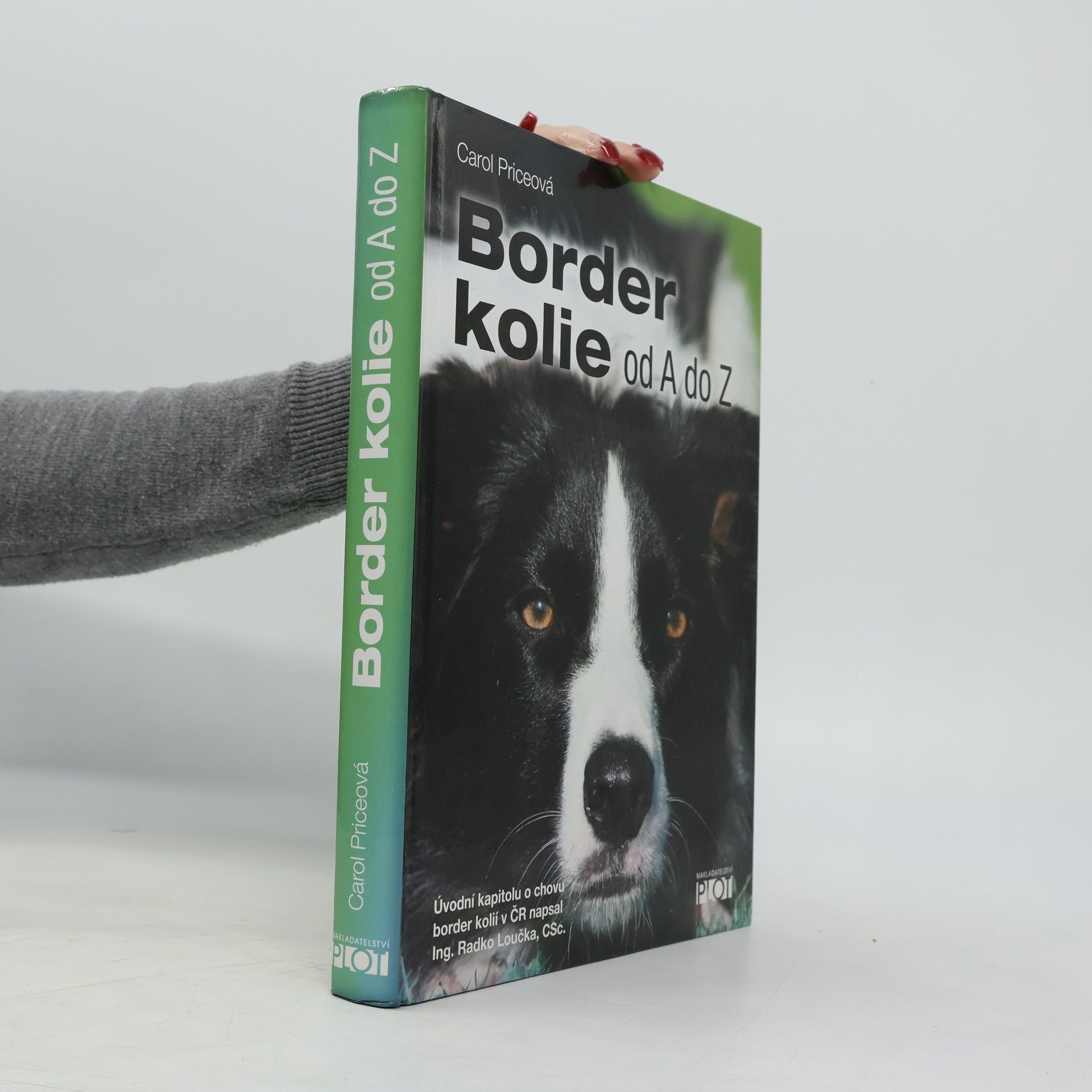 Carol Price Border kolie od A do Z