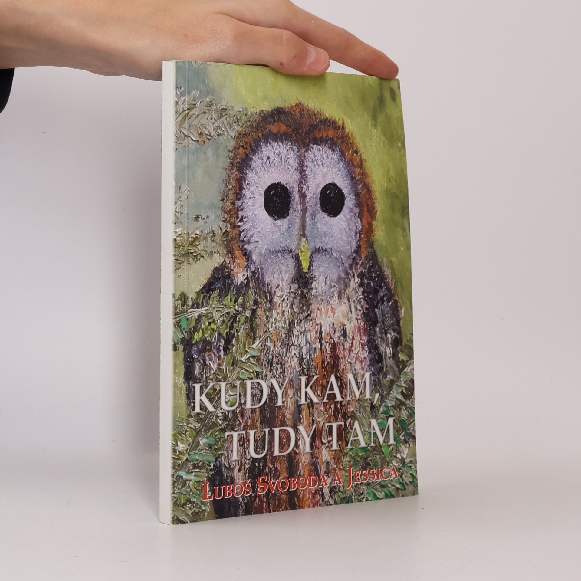 Kudy kam, tudy tam