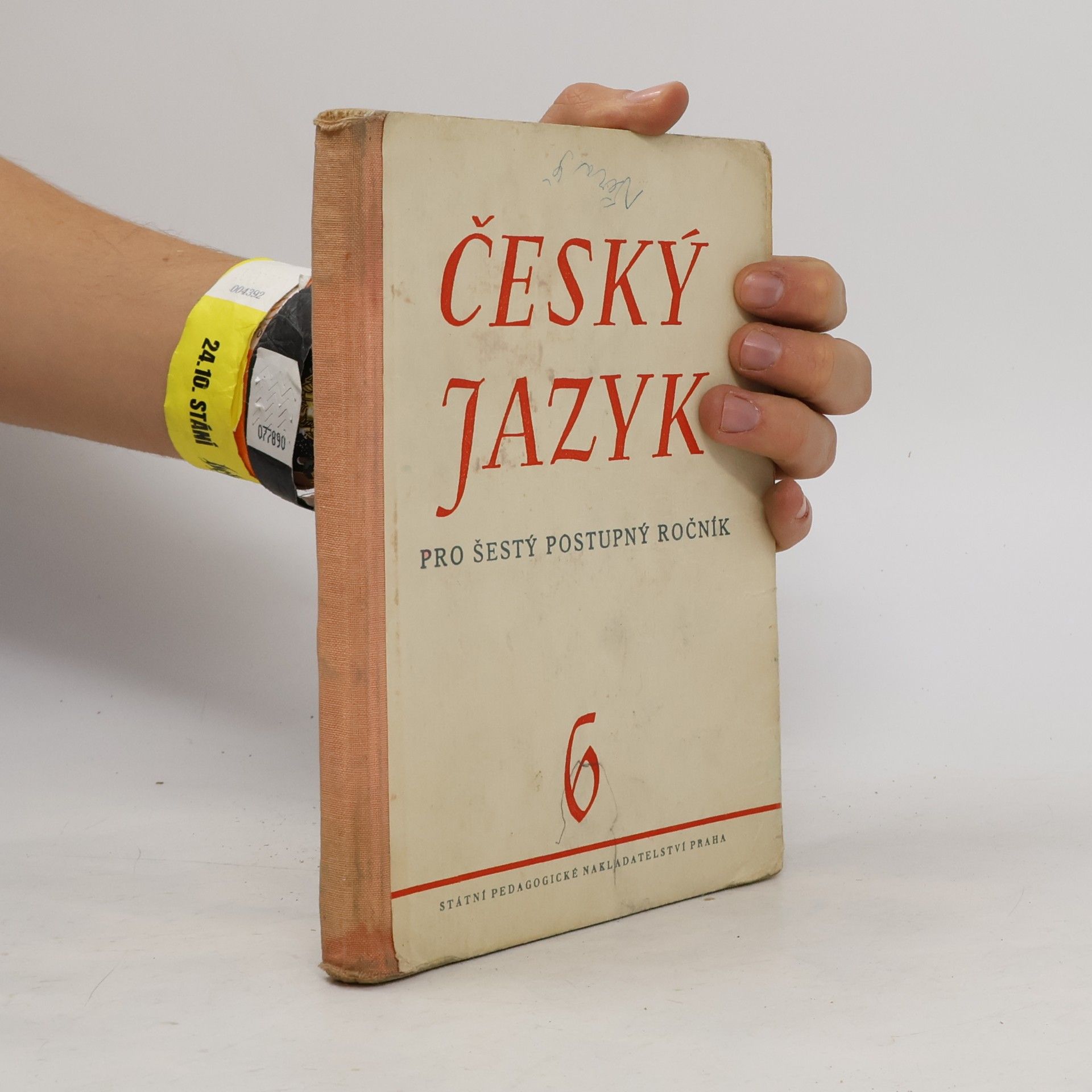 Český jazyk 6