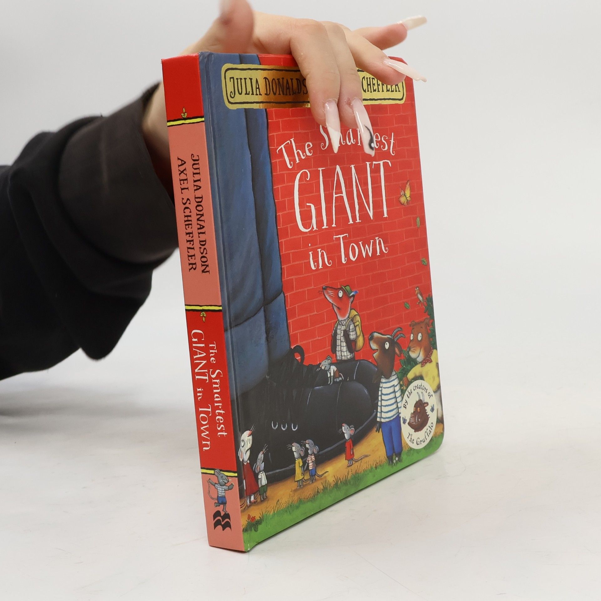Axel Scheffler The Smartest Giant in Town