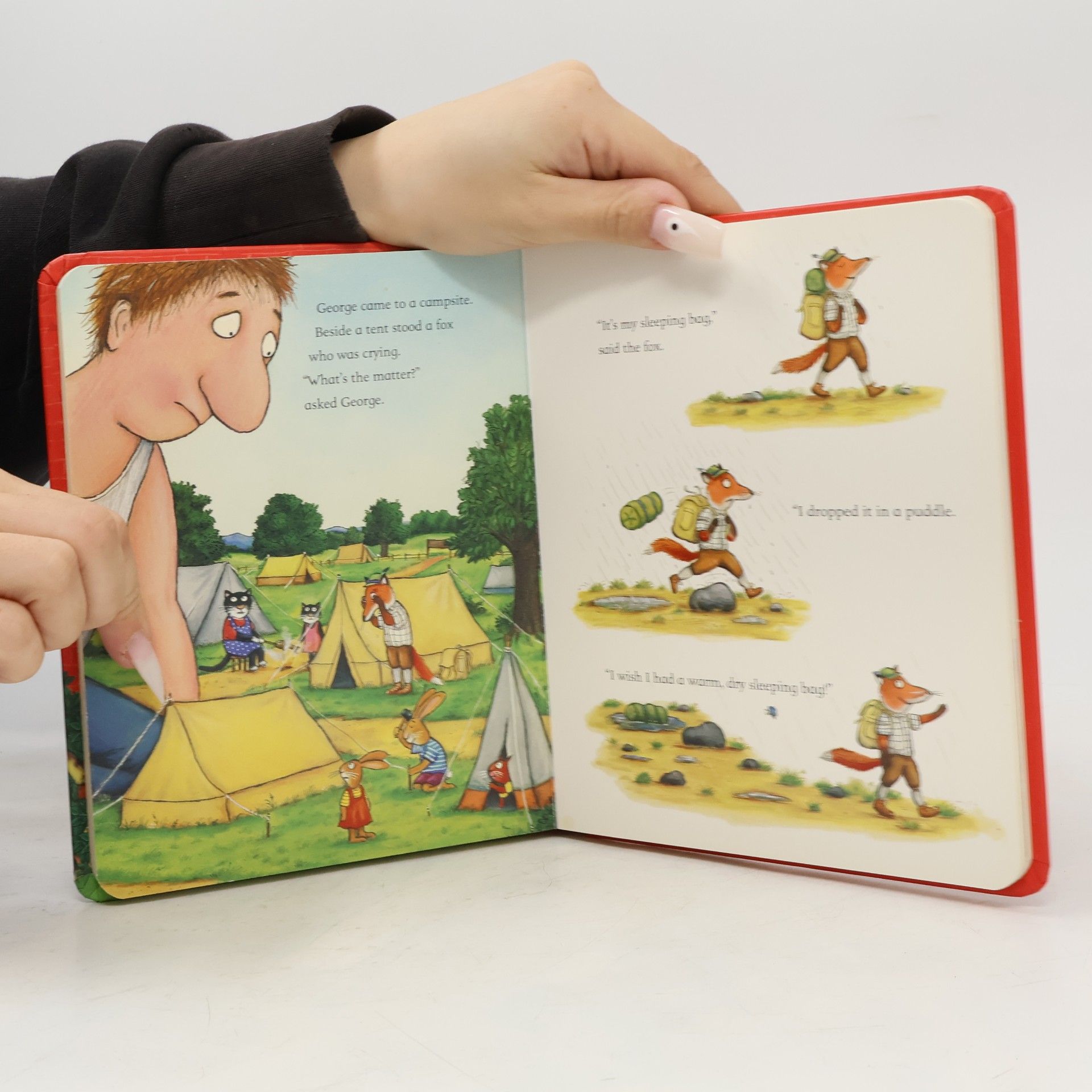 Axel Scheffler The Smartest Giant in Town