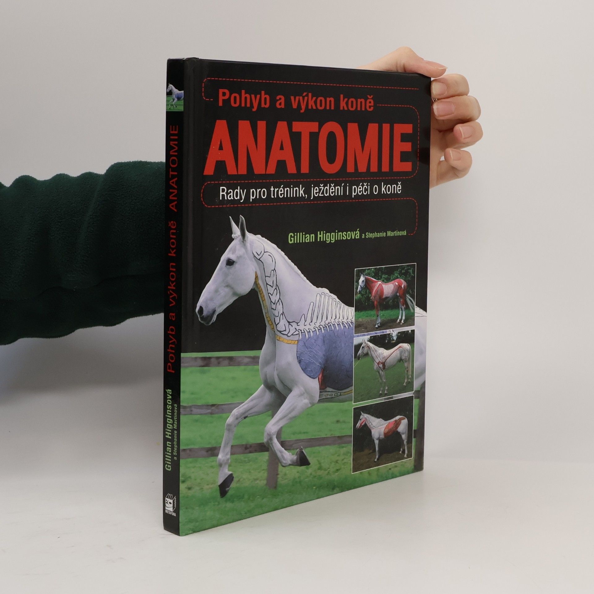 Pohyb a výkon koně. Anatomie