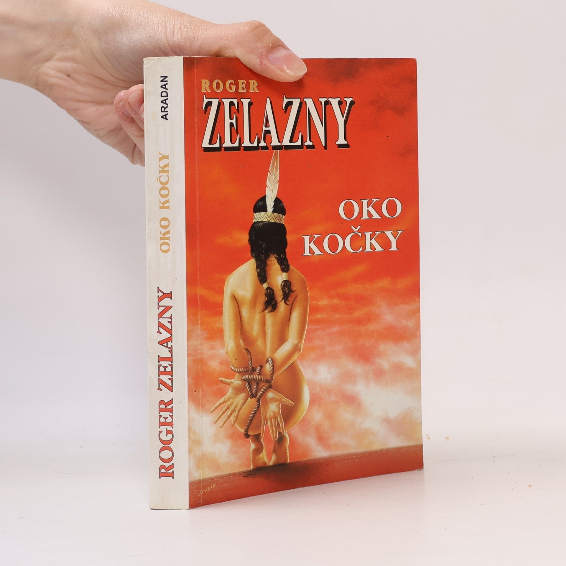 Oko kočky