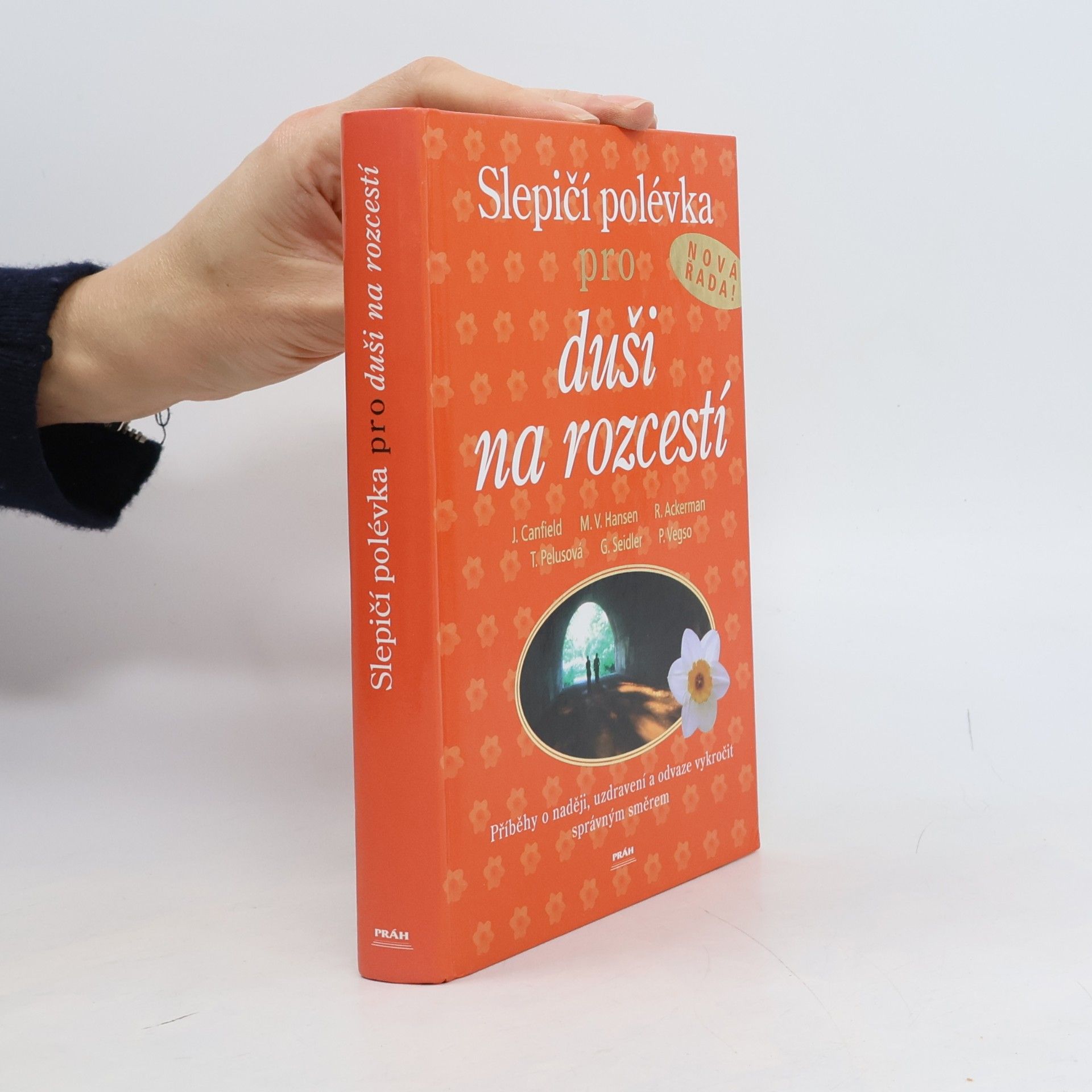 Jack Canfield Slepičí polévka pro duši na rozcestí