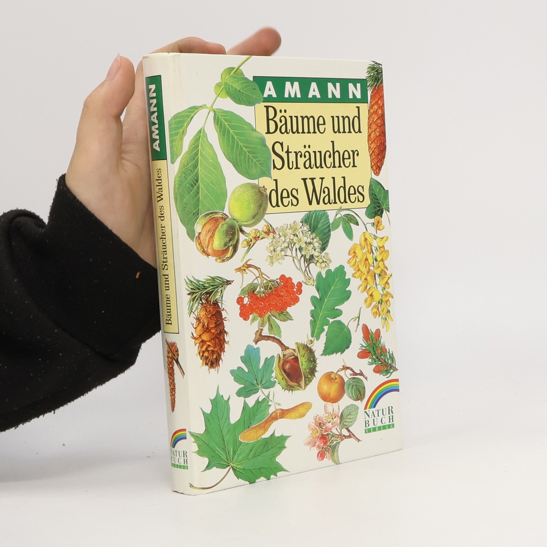 Bäume und Sträucher des Waldes