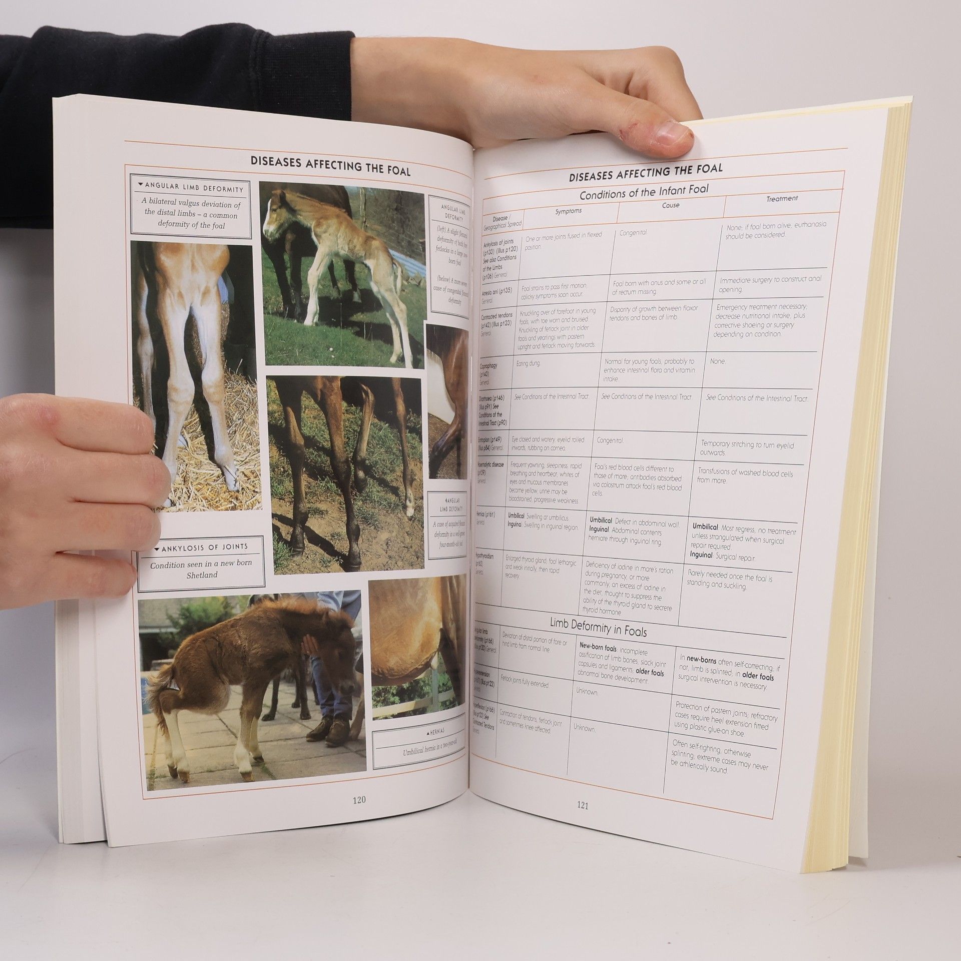 Tony Pavord Complete Equine Veterinary Manual