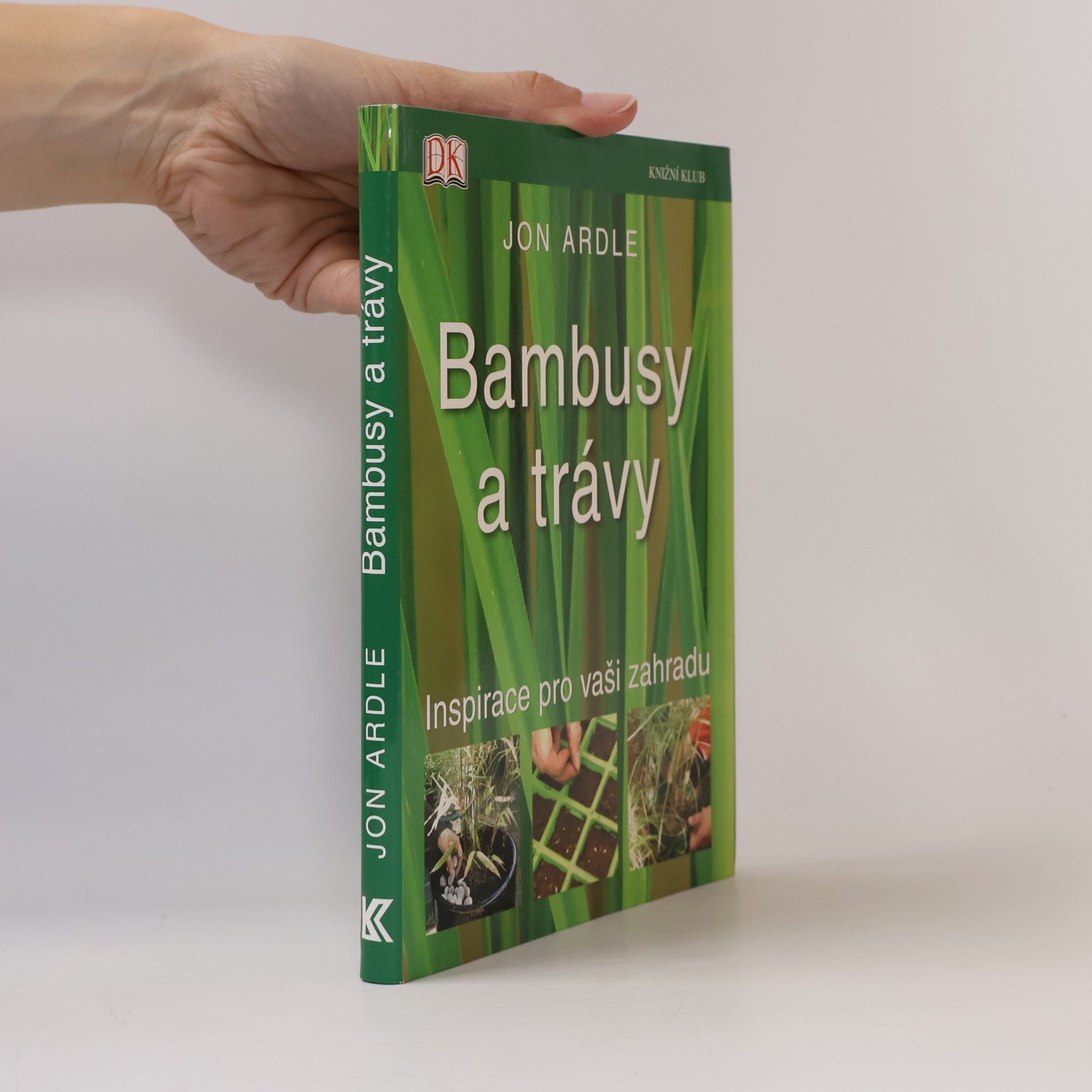 Bambusy a trávy