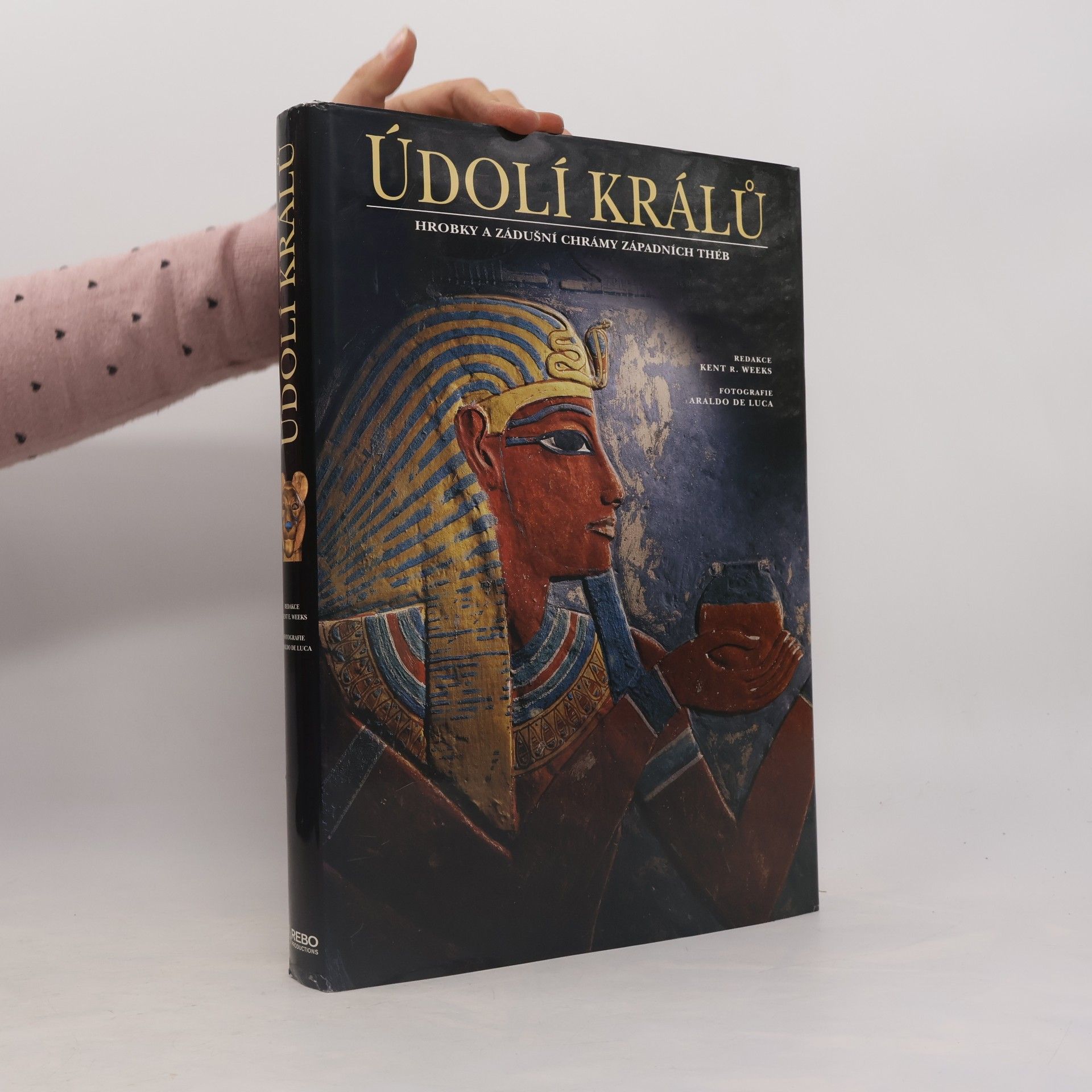 Údolí králů : hrobky a zádušní chrámy západních Théb