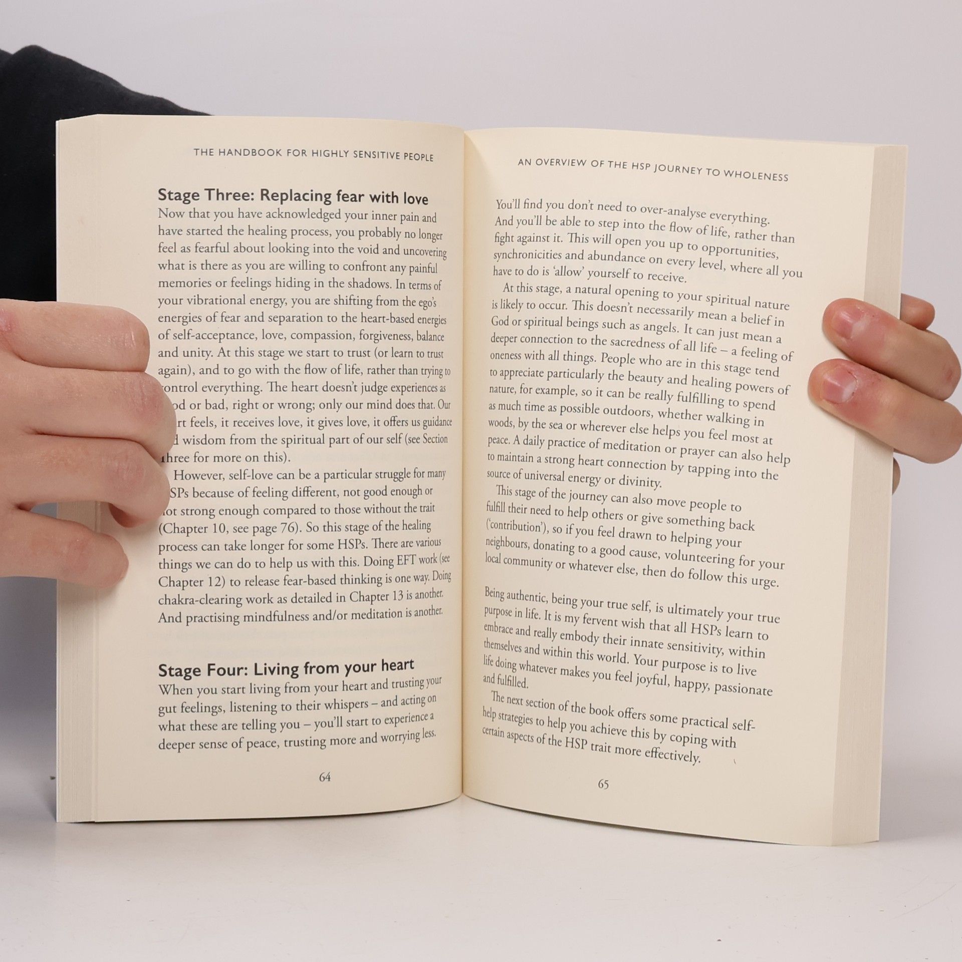 Mel Collins The Handbook for Highly Sensitive People