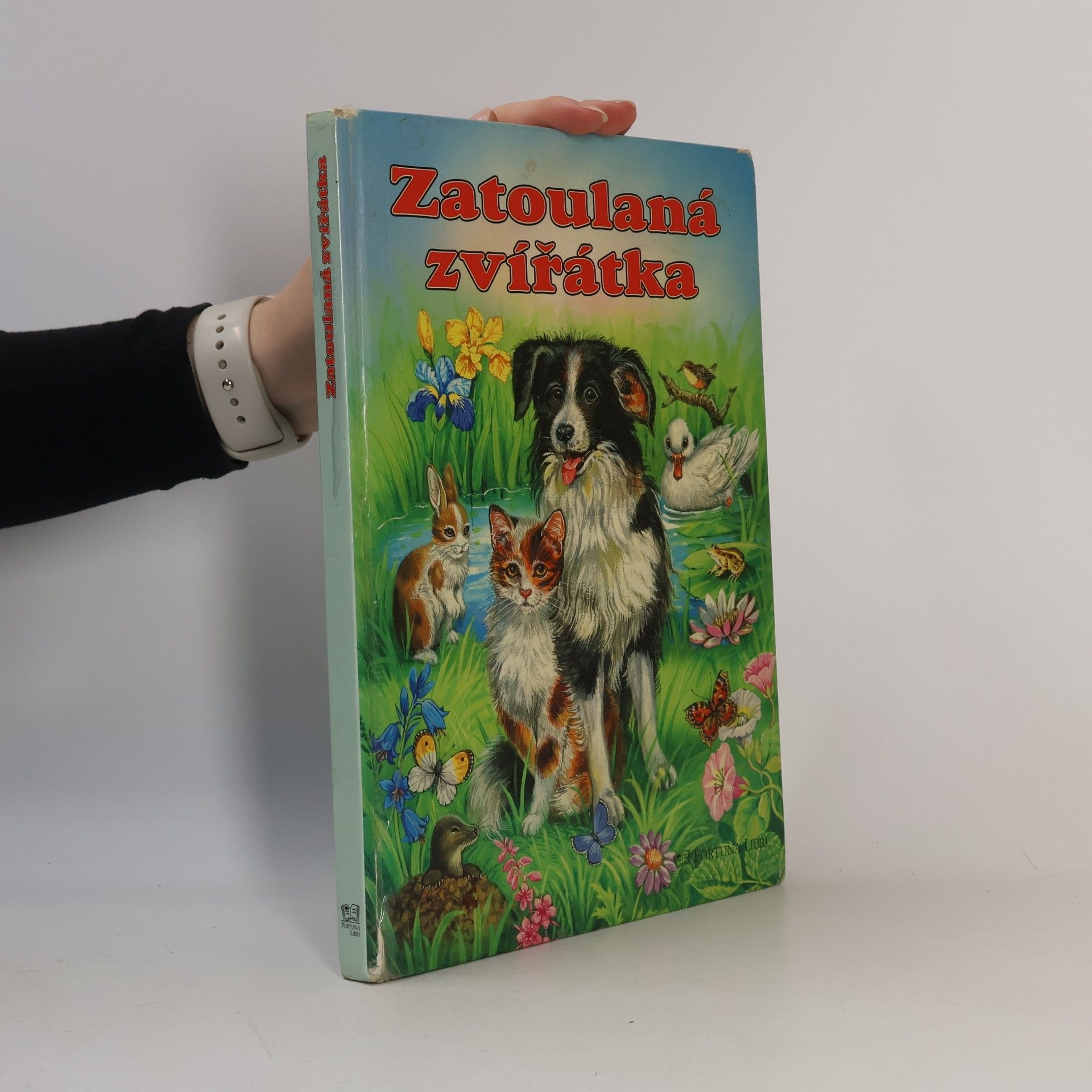 Zatoulaná zvířátka
