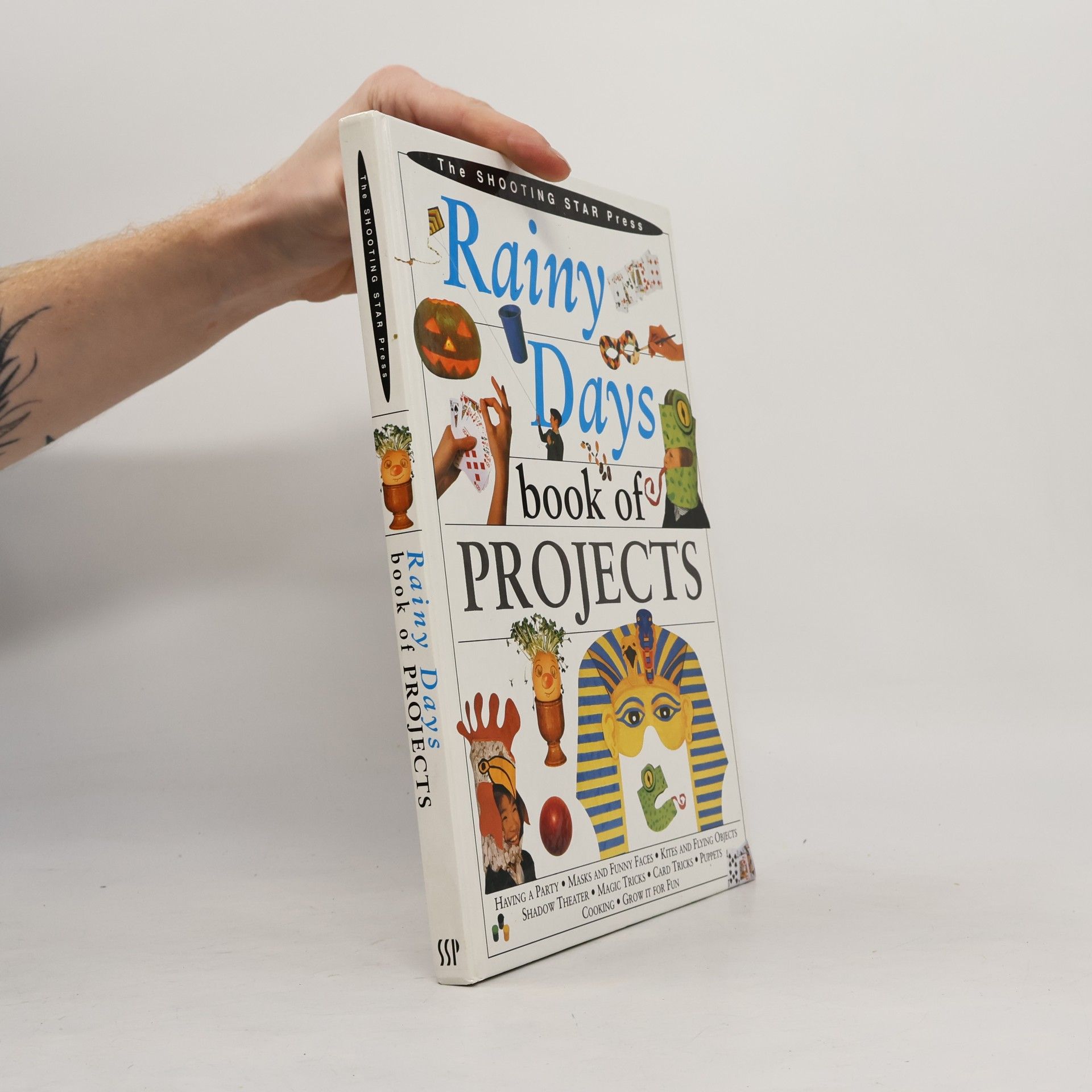 Vanessa Bailey Rainy Days Book Of Projects