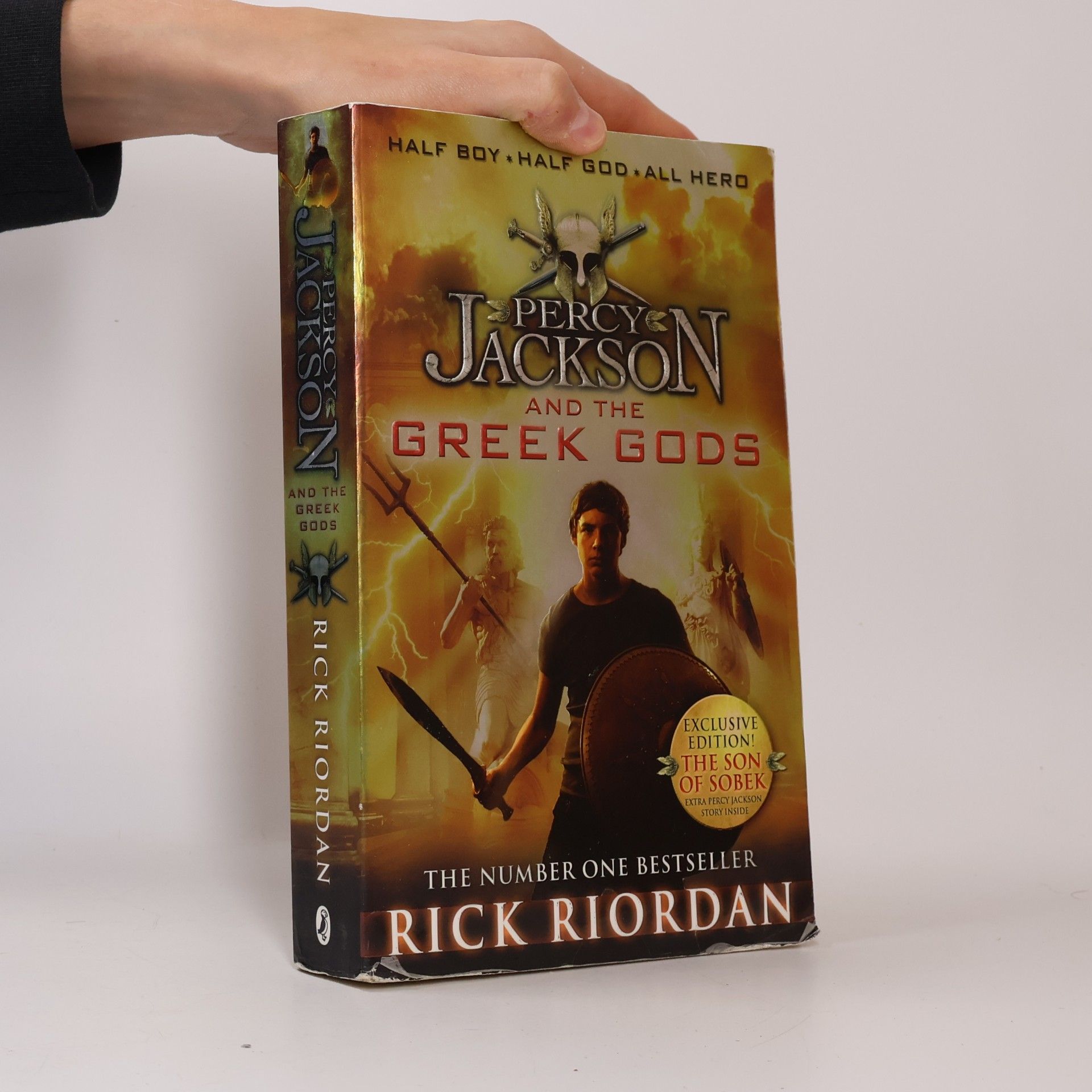 Percy Jackson and the Greek Gods