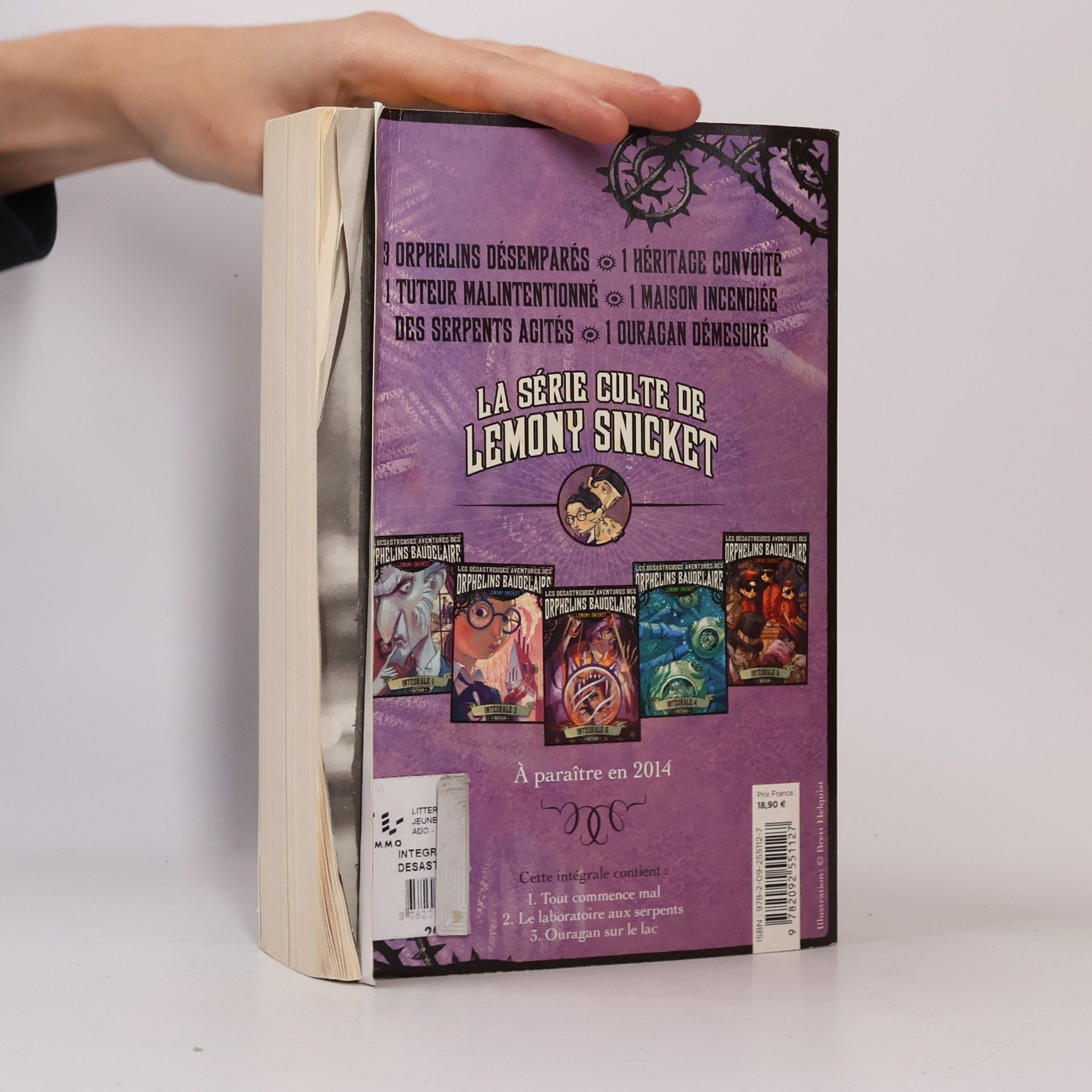 Lemony Snicket Les Désastreuses Aventures des Orphelins Baudelaire