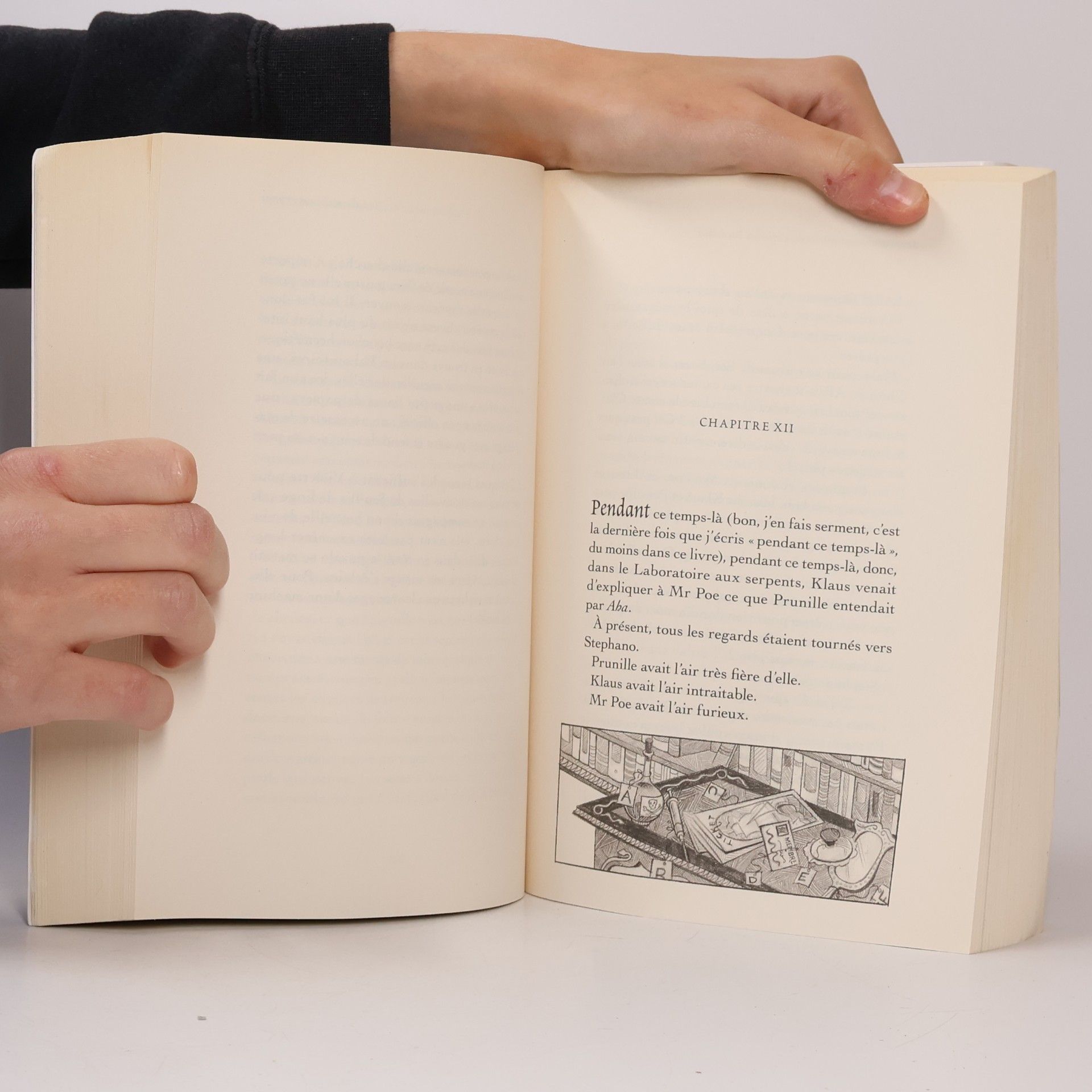 Lemony Snicket Les Désastreuses Aventures des Orphelins Baudelaire