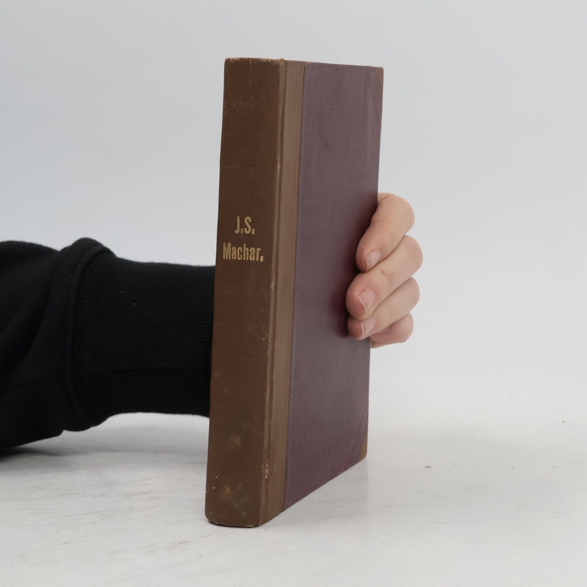 J. S. Machar. Přehled jeho básnického díla