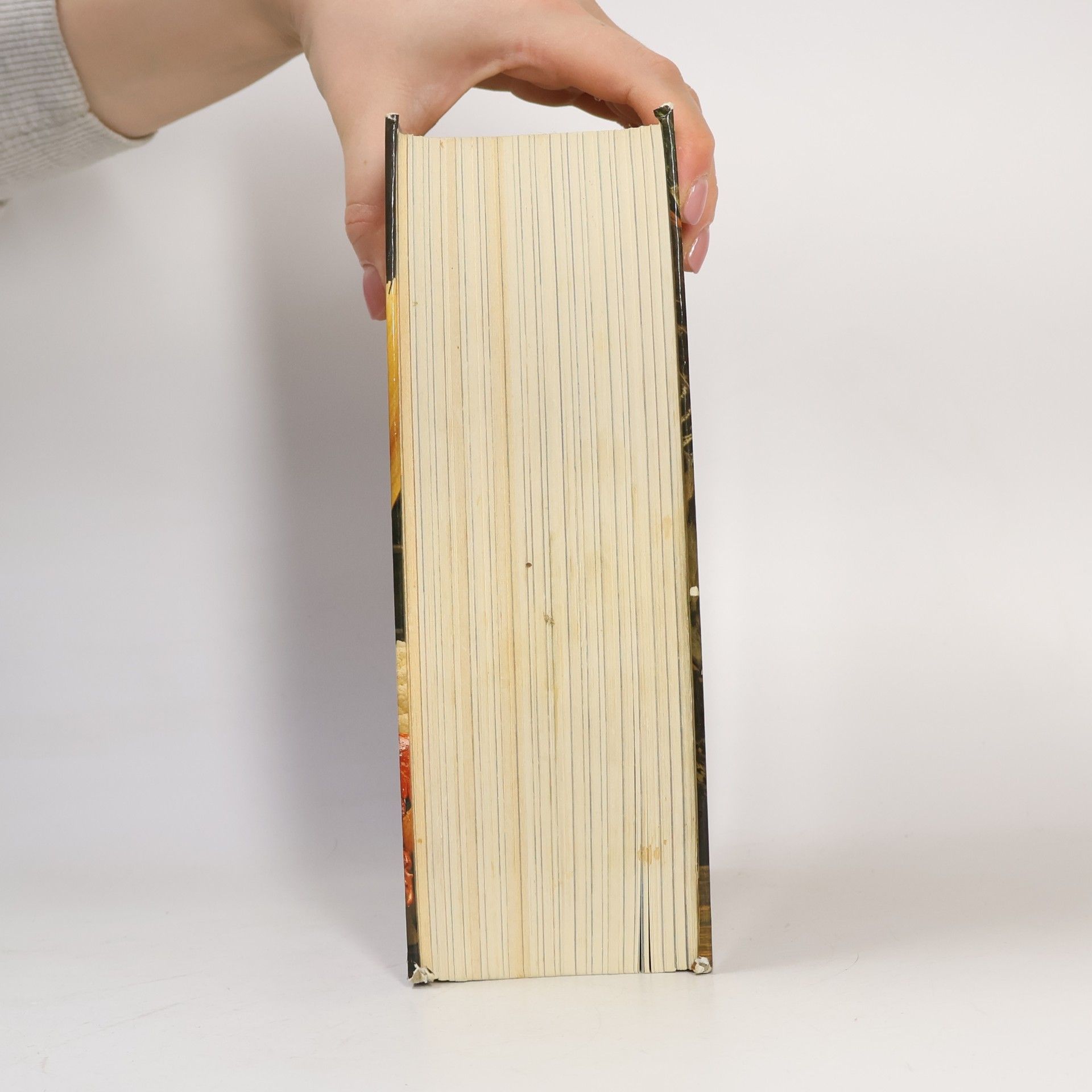 Elizabeth Schuler Das goldene Buch der Kochkunst