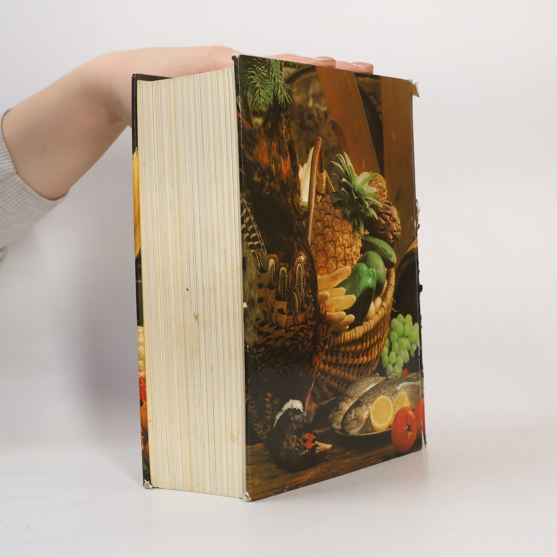 Elizabeth Schuler Das goldene Buch der Kochkunst