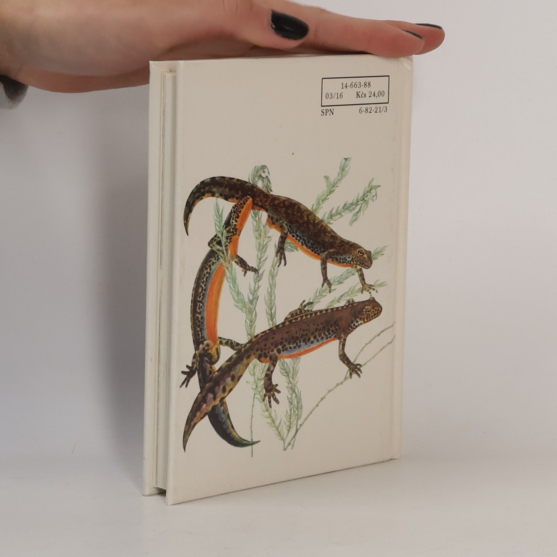 Alena Čepická Kapesní atlas chráněných a ohrožených živočichů 1