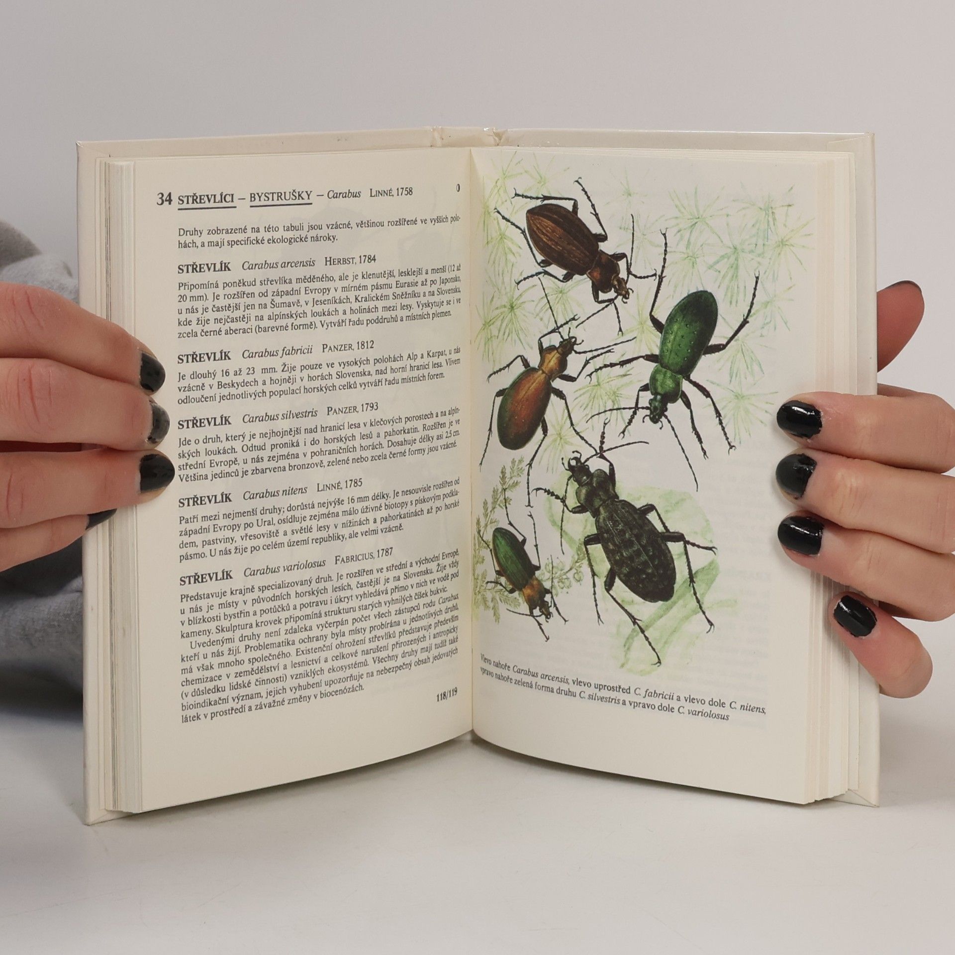 Alena Čepická Kapesní atlas chráněných a ohrožených živočichů 1