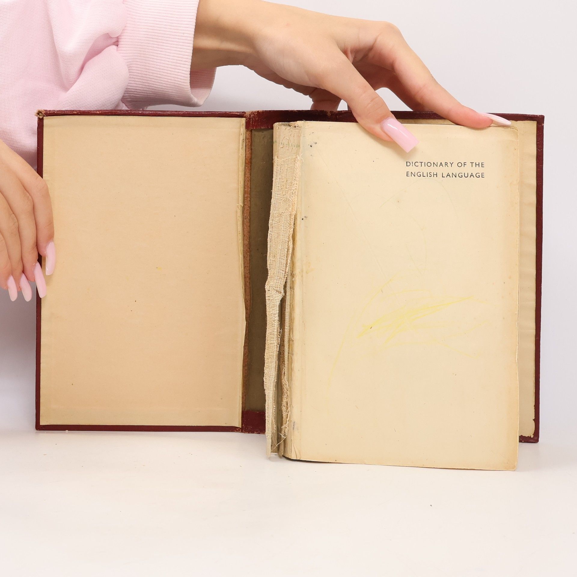 Various authors The Modern Standard Dictionary