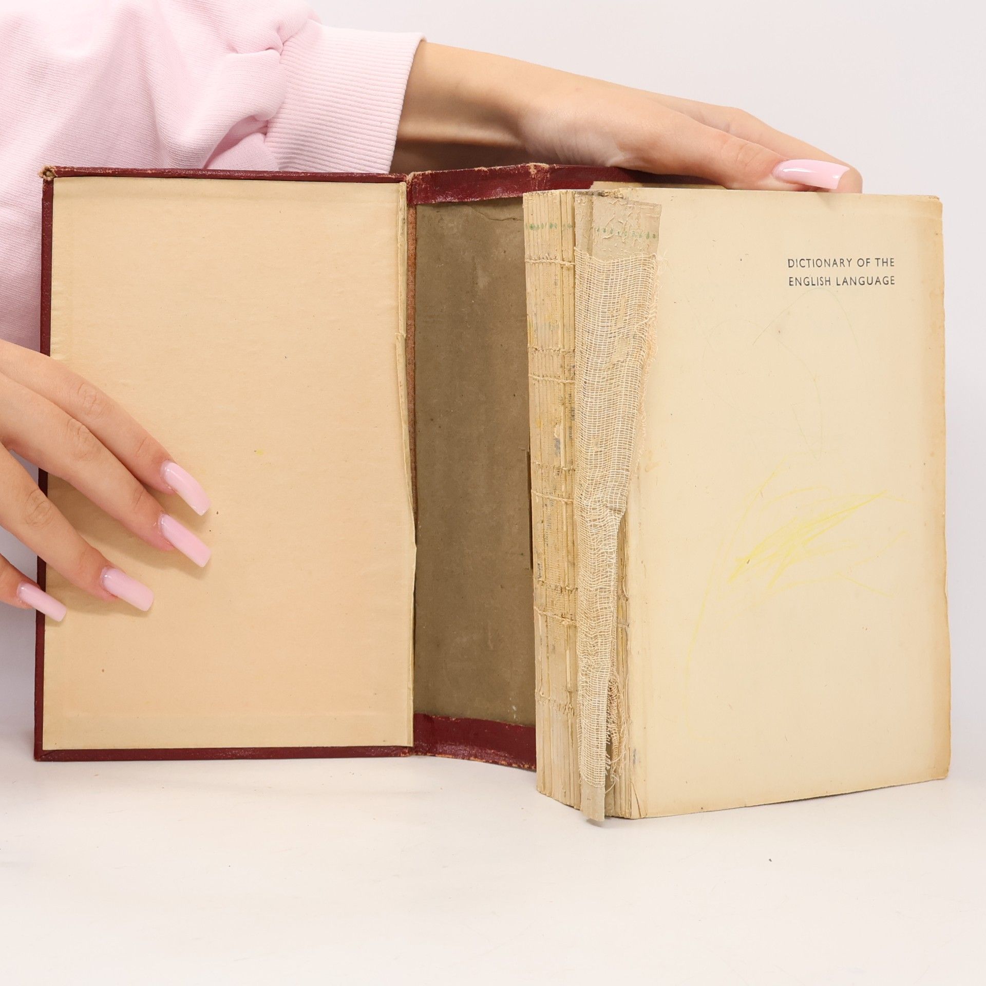 Various authors The Modern Standard Dictionary
