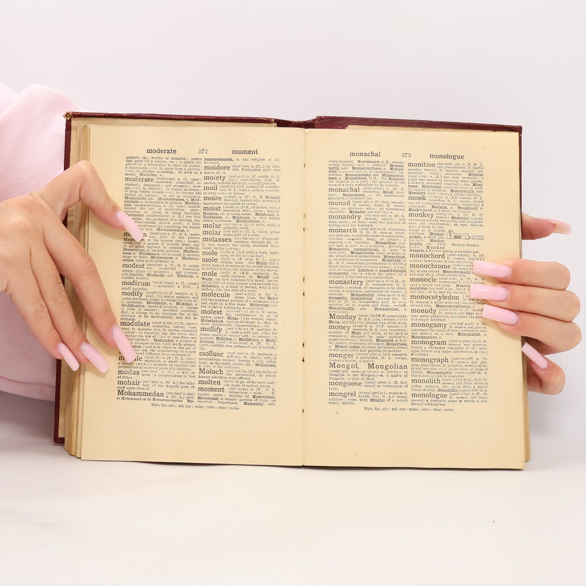 Various authors The Modern Standard Dictionary