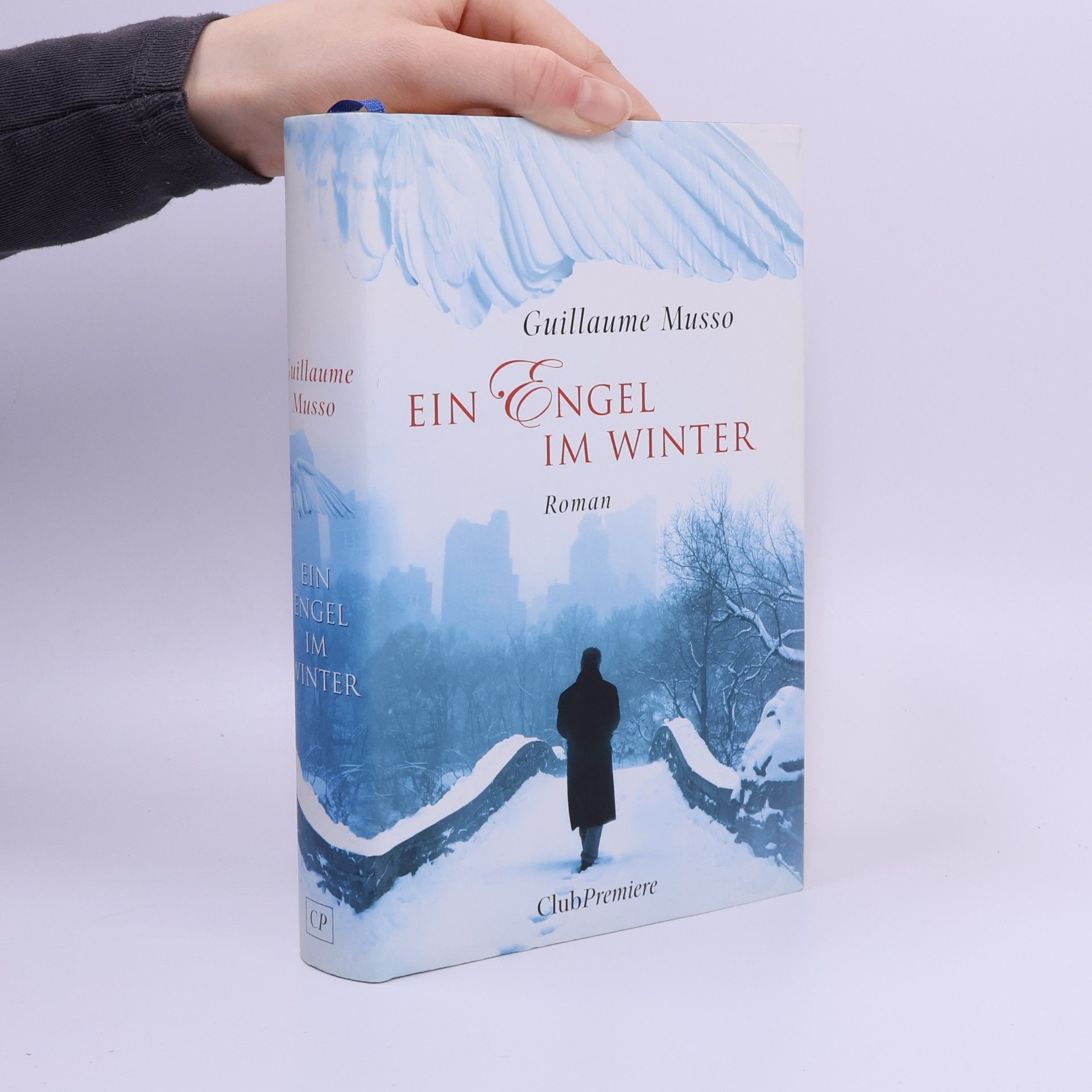 Ein Engel im Winter