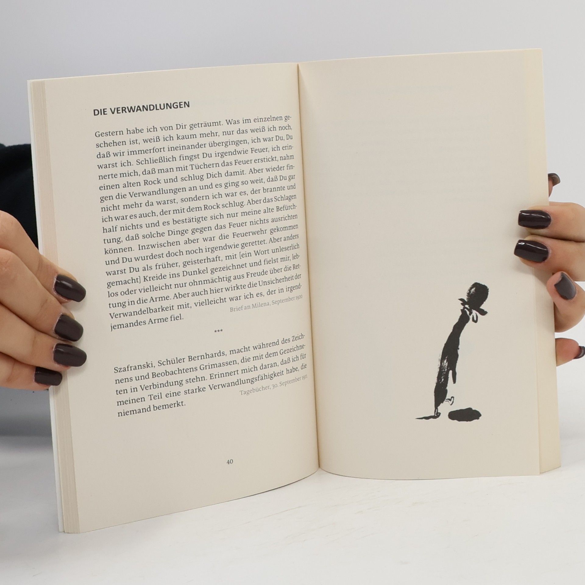 Nicolas Mahler Kafka für Boshafte