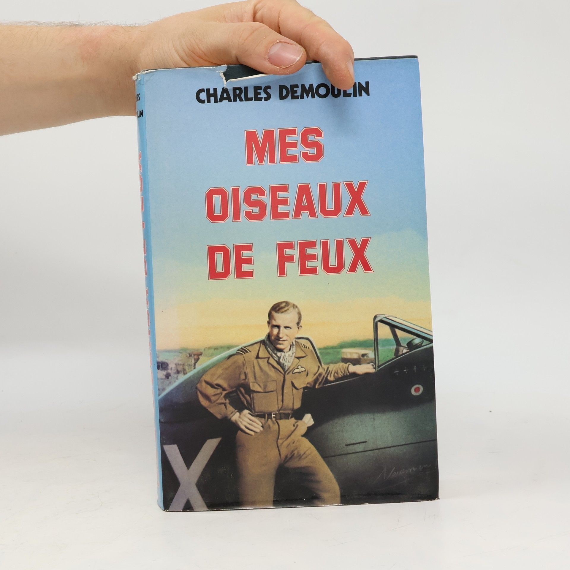 Charles Demoulin Mes oiseaux de feux