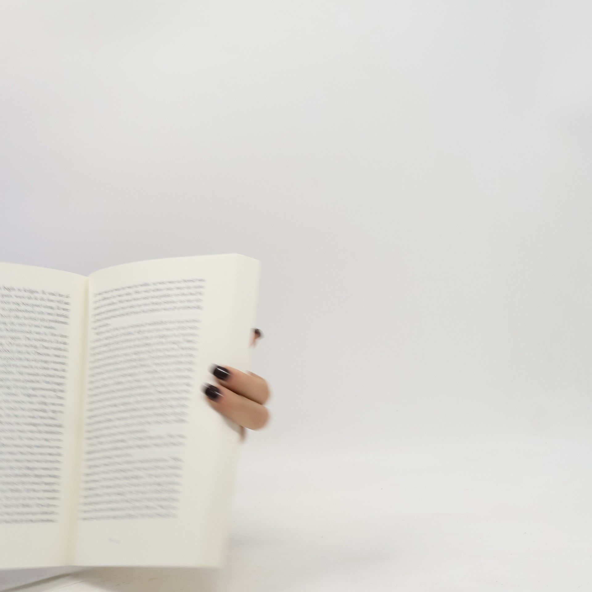 Danielle Steel De verjaardag