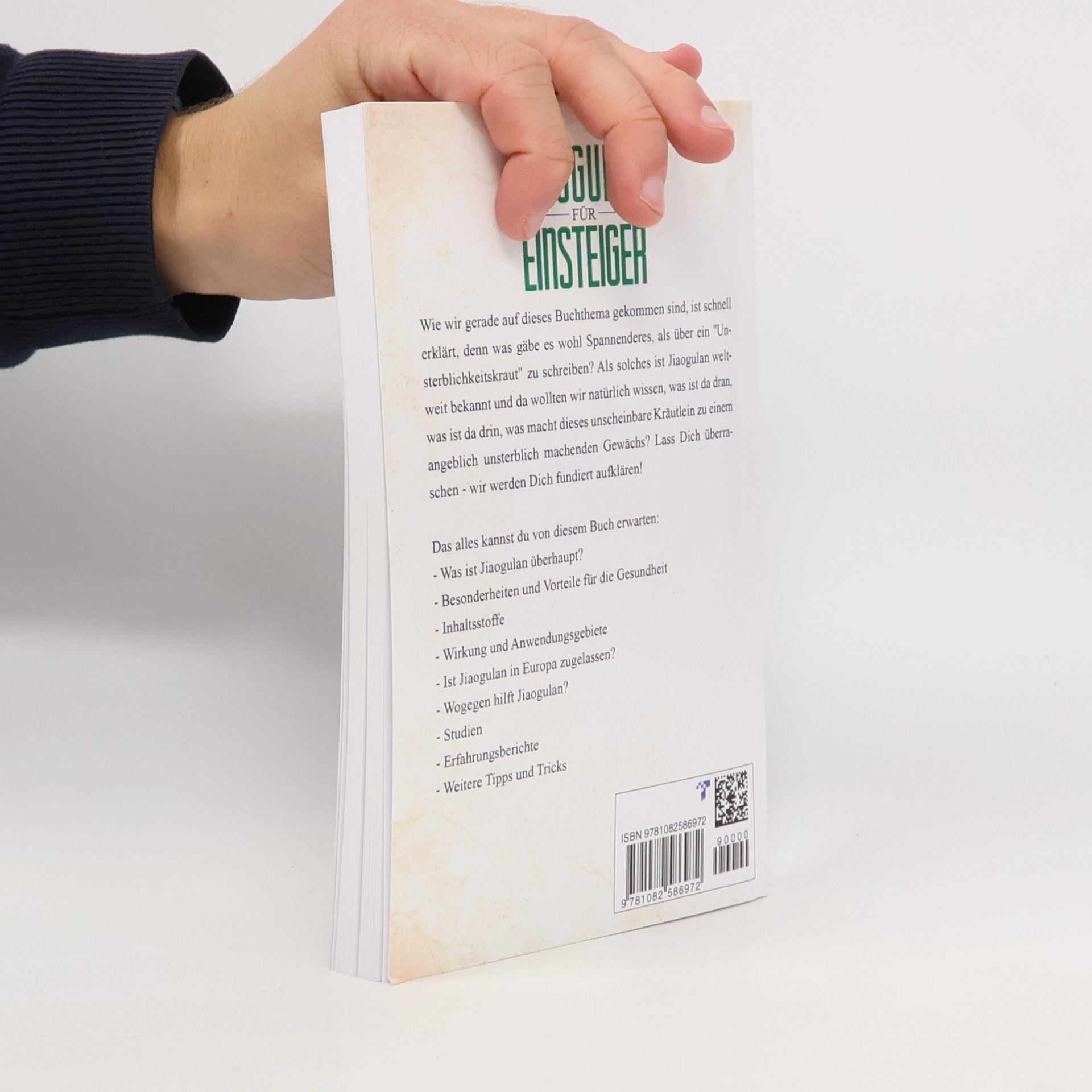 Jiaogulan Helden Jiaogulan für Einsteiger