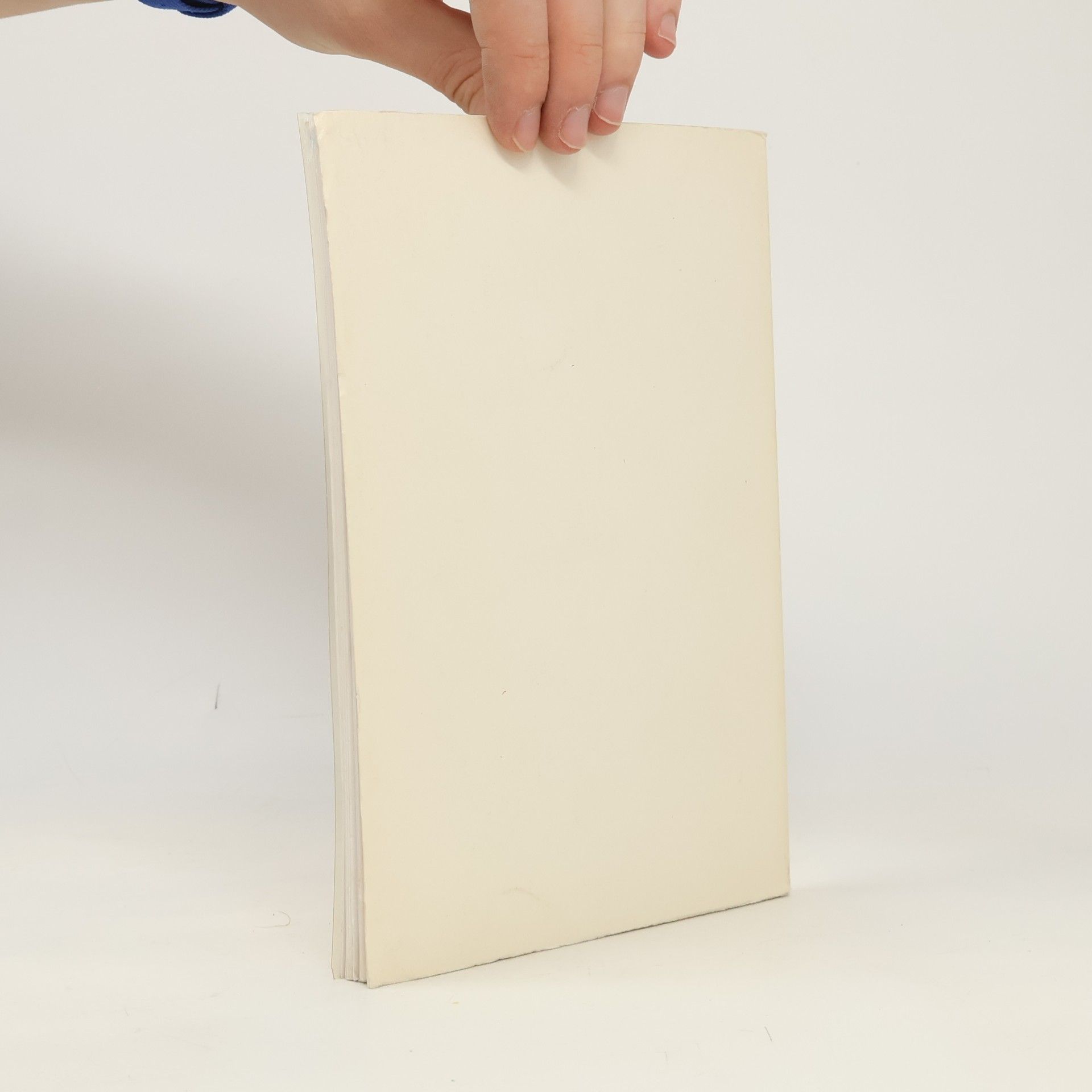 Monika Segbert Praktisches Wörterbuch für Bibliothekare