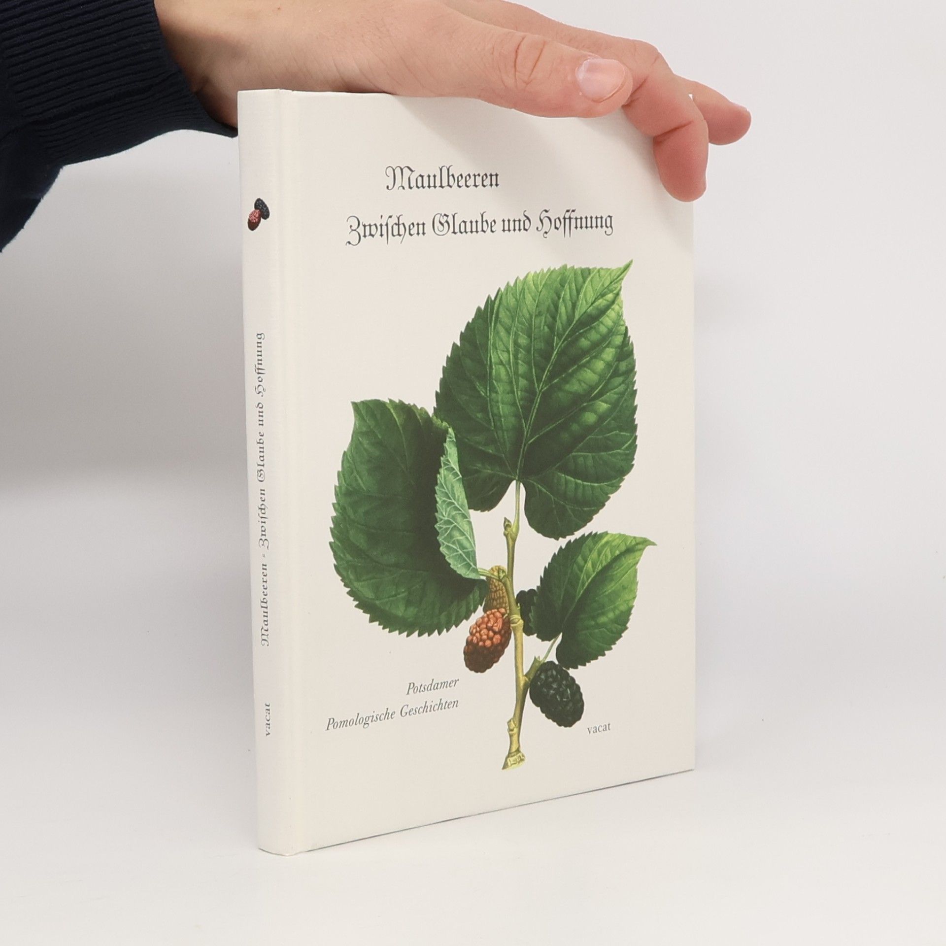 Maulbeeren - zwischen Glaube und Hoffnung