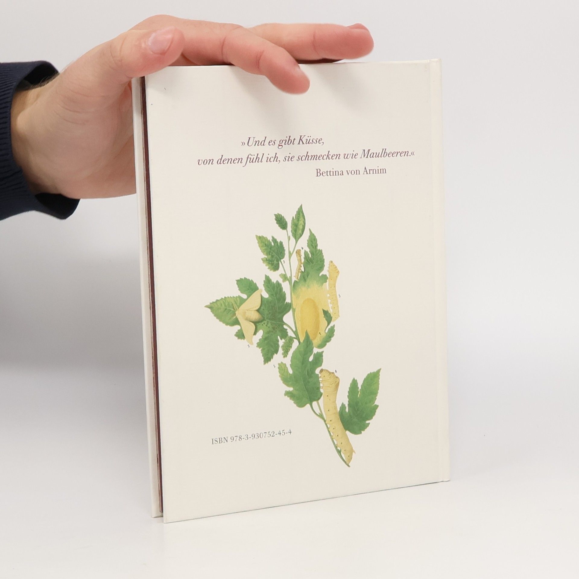 Marina Heilmeyer Maulbeeren - zwischen Glaube und Hoffnung