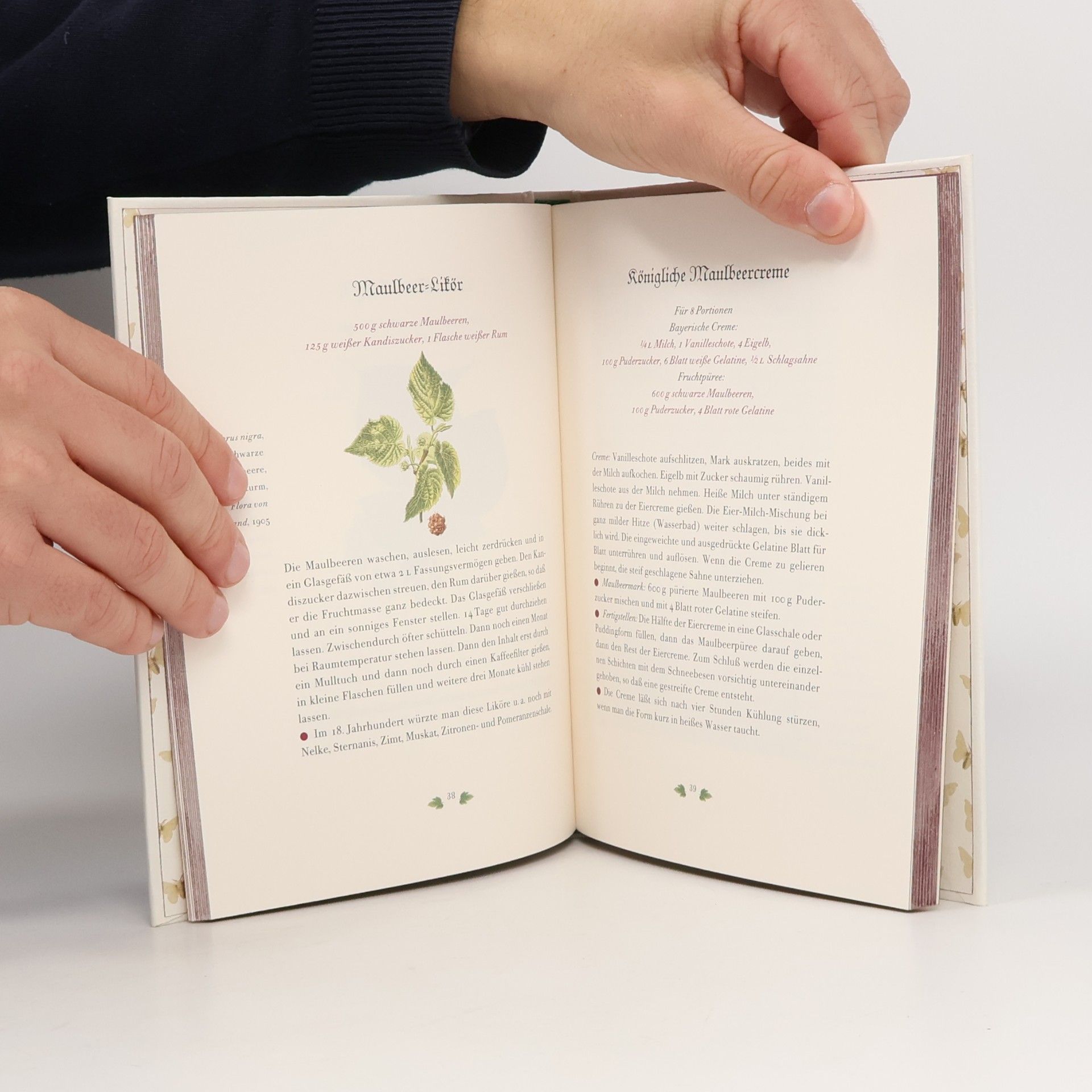 Marina Heilmeyer Maulbeeren - zwischen Glaube und Hoffnung