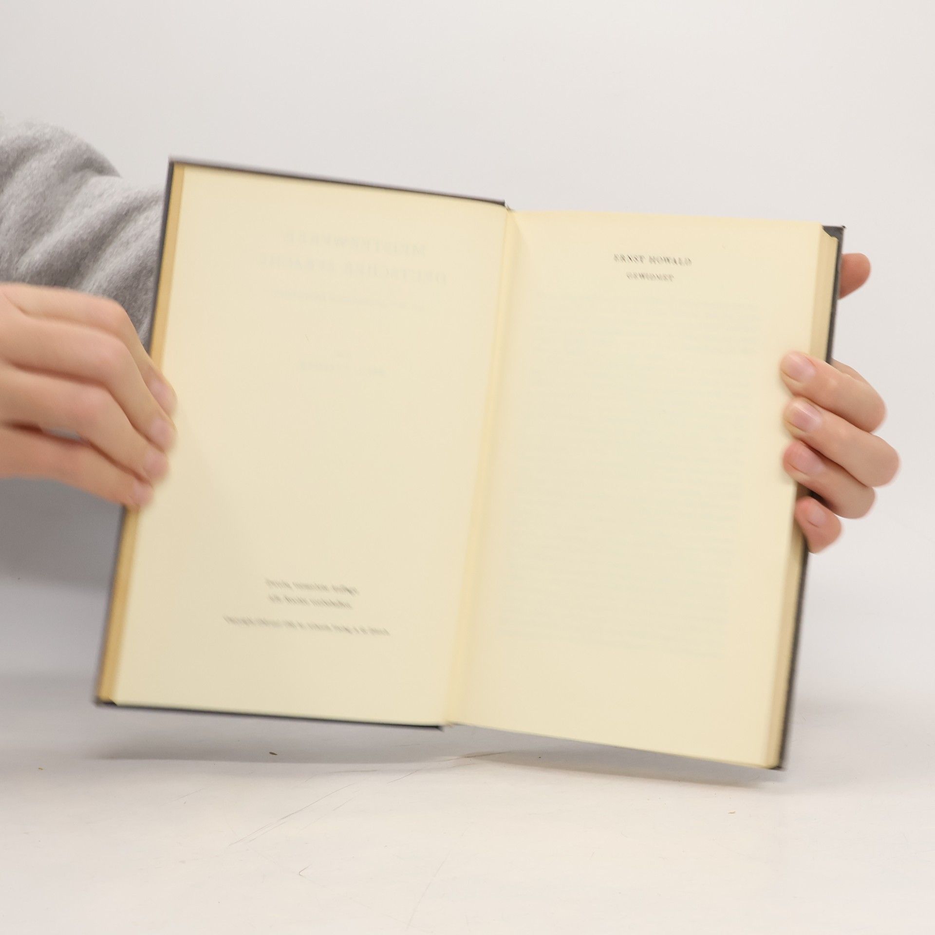 Emil Staiger Meisterwerke deutscher Sprache