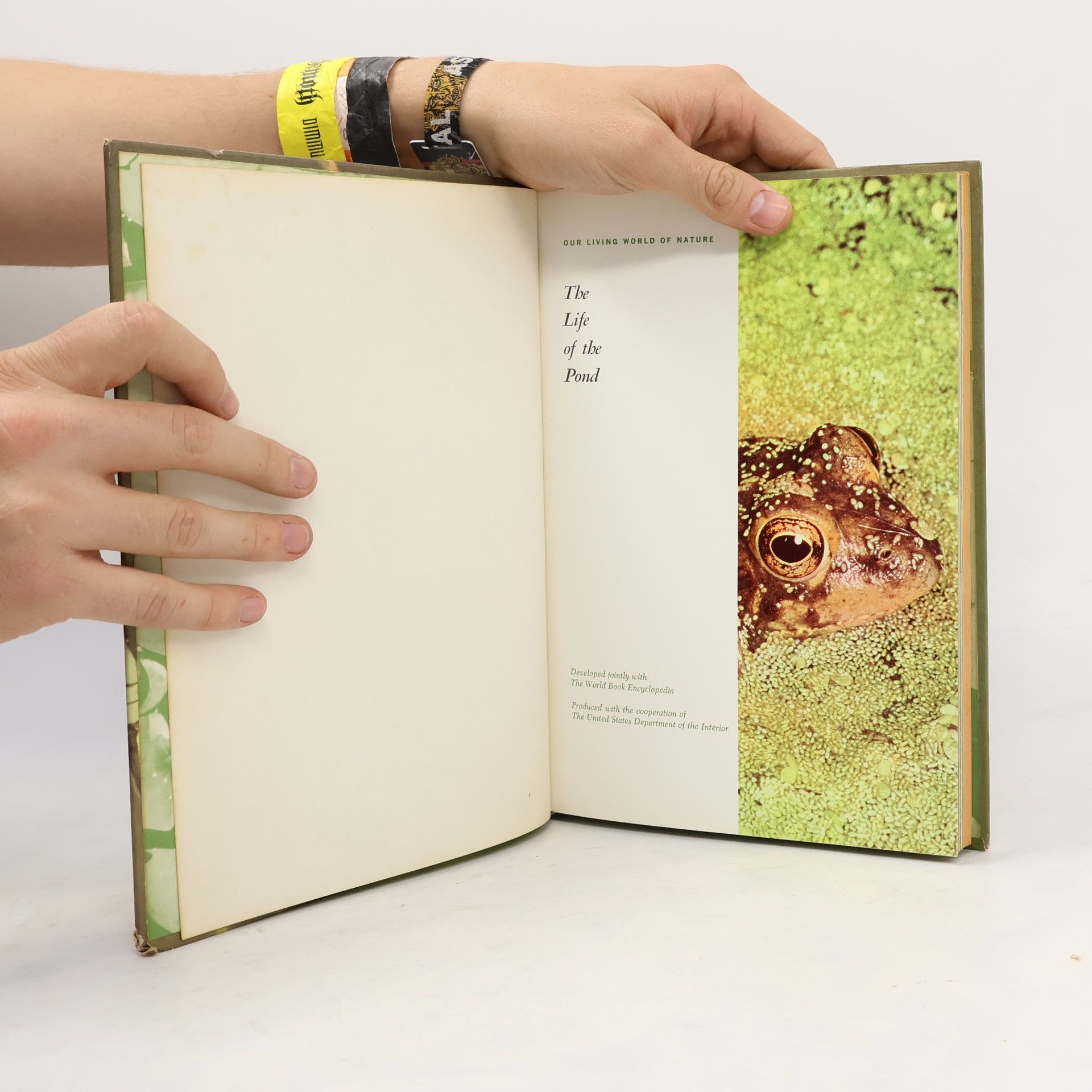 Various authors The Life of the Pond