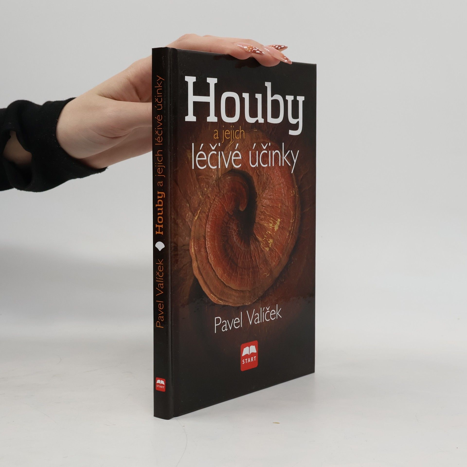 Houby a jejich léčivé účinky