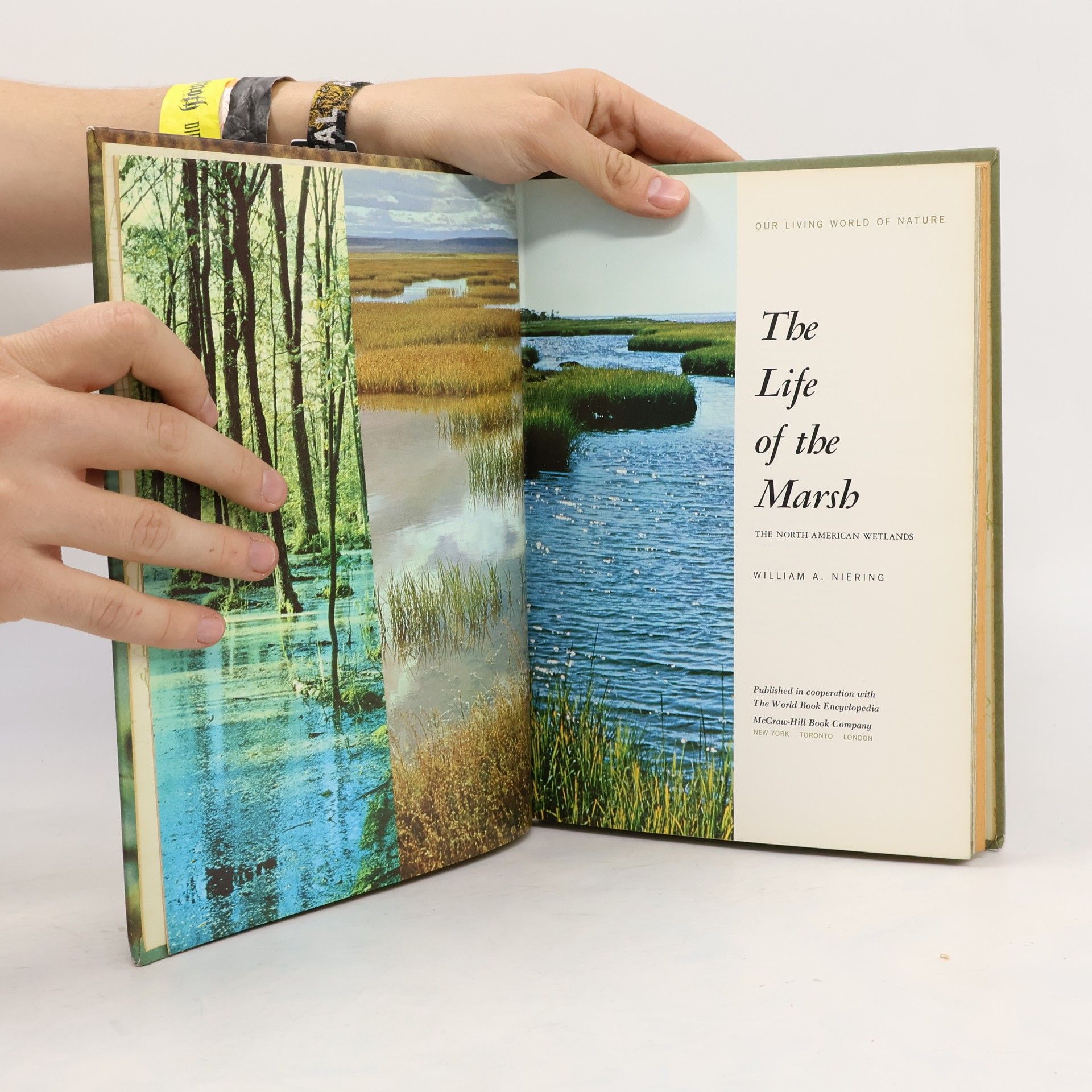 William A. Niering The Life of The Marsh