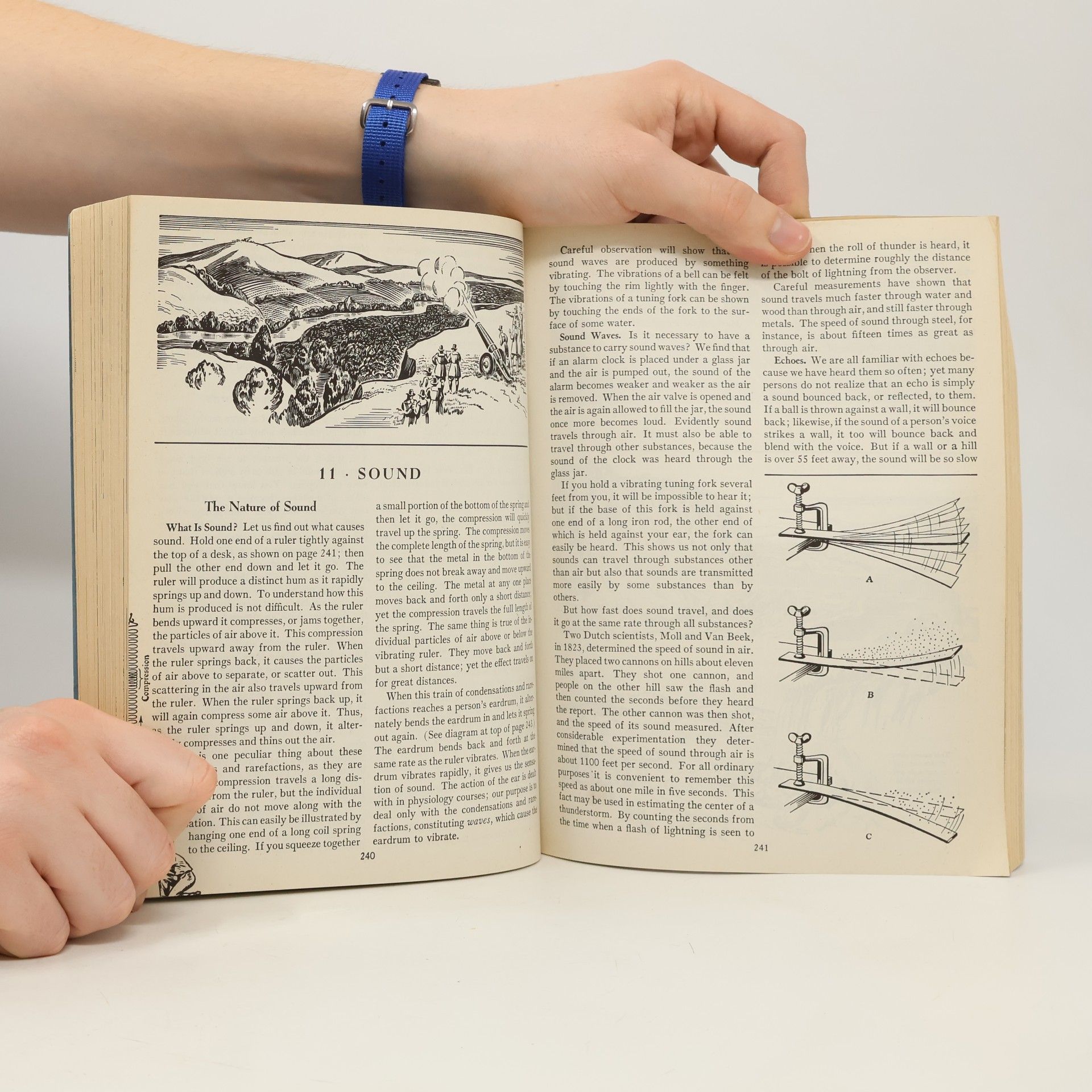 Various authors The Physical Sciences