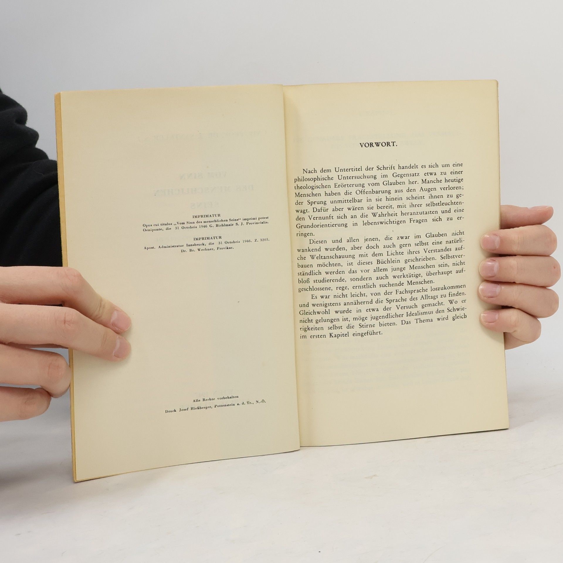 Josef Santeler Vom Sinn des menschlichen Seins