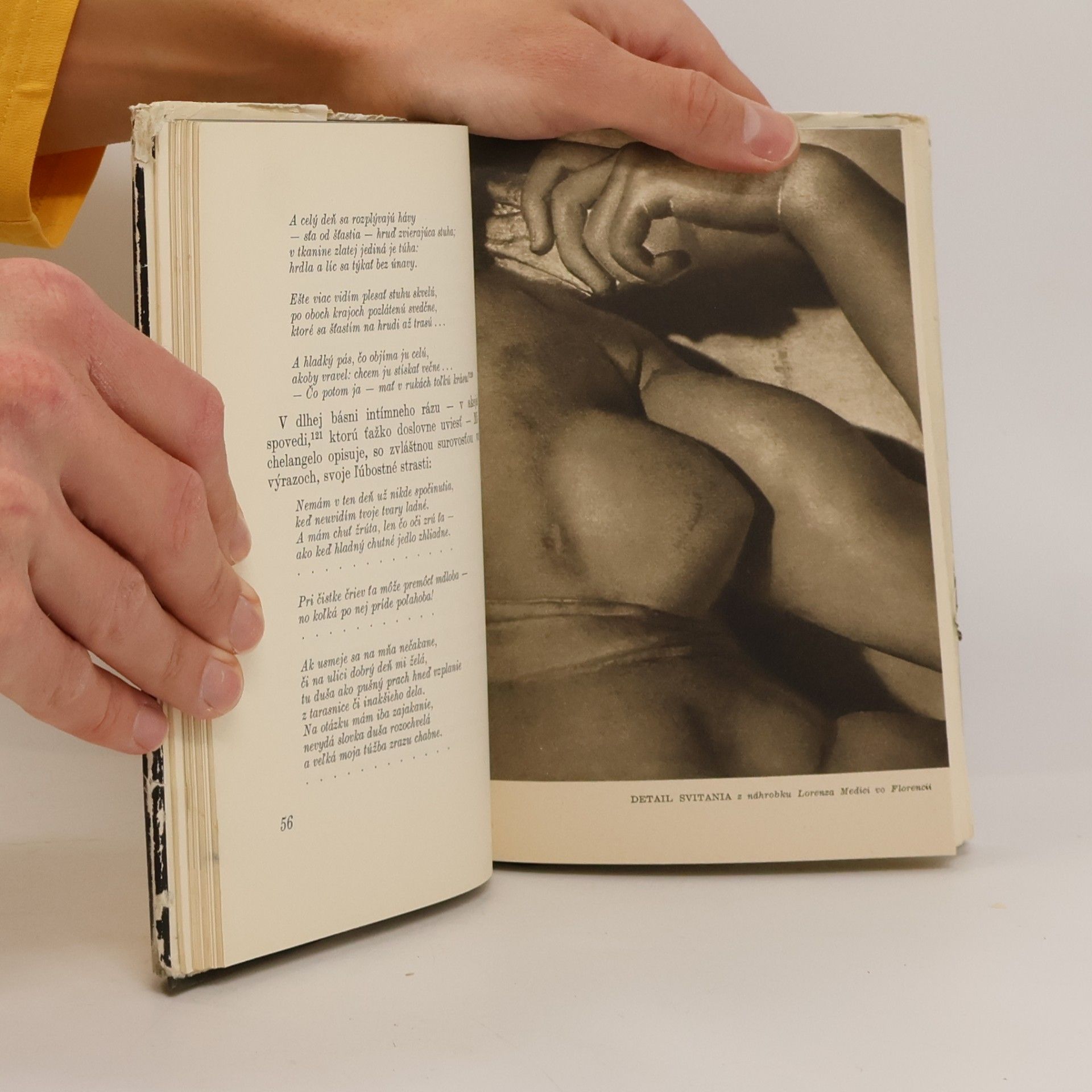 Romain Rolland Michelangelo