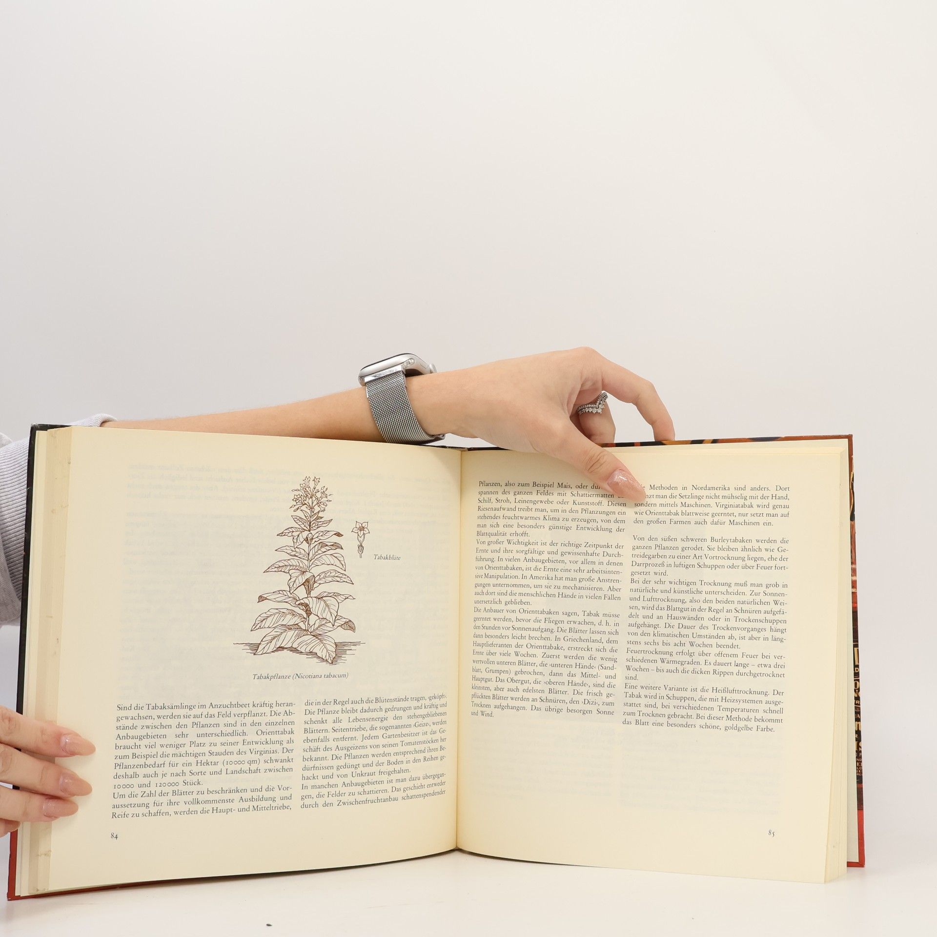 Helmut Hochrain Das grosse Buch des Pfeifenrauchers